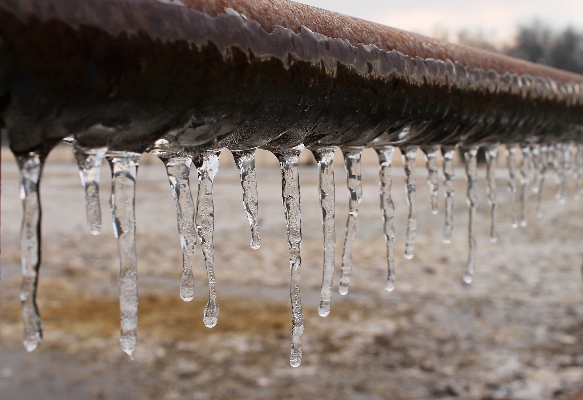 weather, coniferous tree, frigid, hanging, snowing, transparent, dripping, hang, selective focus, ze, frozen, icy, flowing water, nature, 1080P, roof, HD Wallpaper
