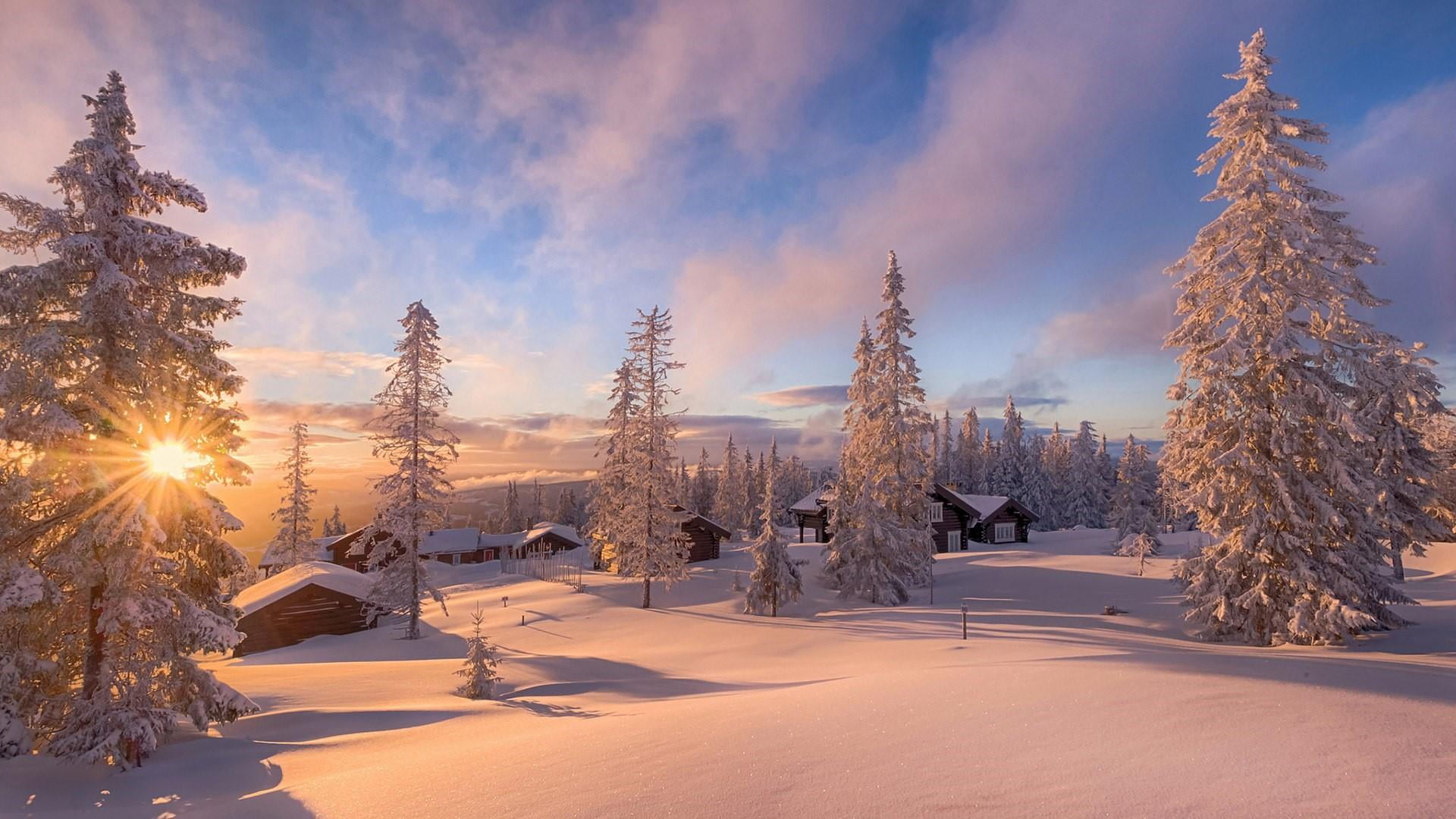 plant, snowcapped mountain, forest, nature, winter, sky, houses, tranquility, beauty in nature, coniferous tree, no people, village, conifer, light, scenics - nature, HD Wallpaper