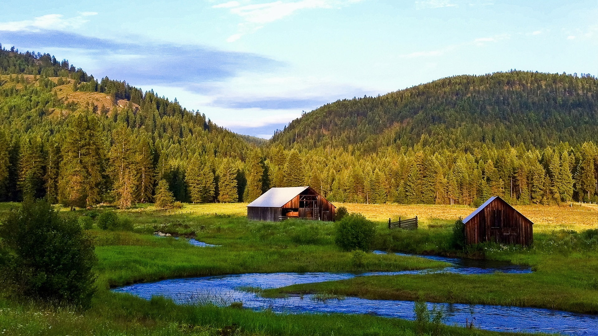 Trees, River, Forest, Grass, near, Lodge, 1080P, barn, Valley, wooden, brown, HD Wallpaper