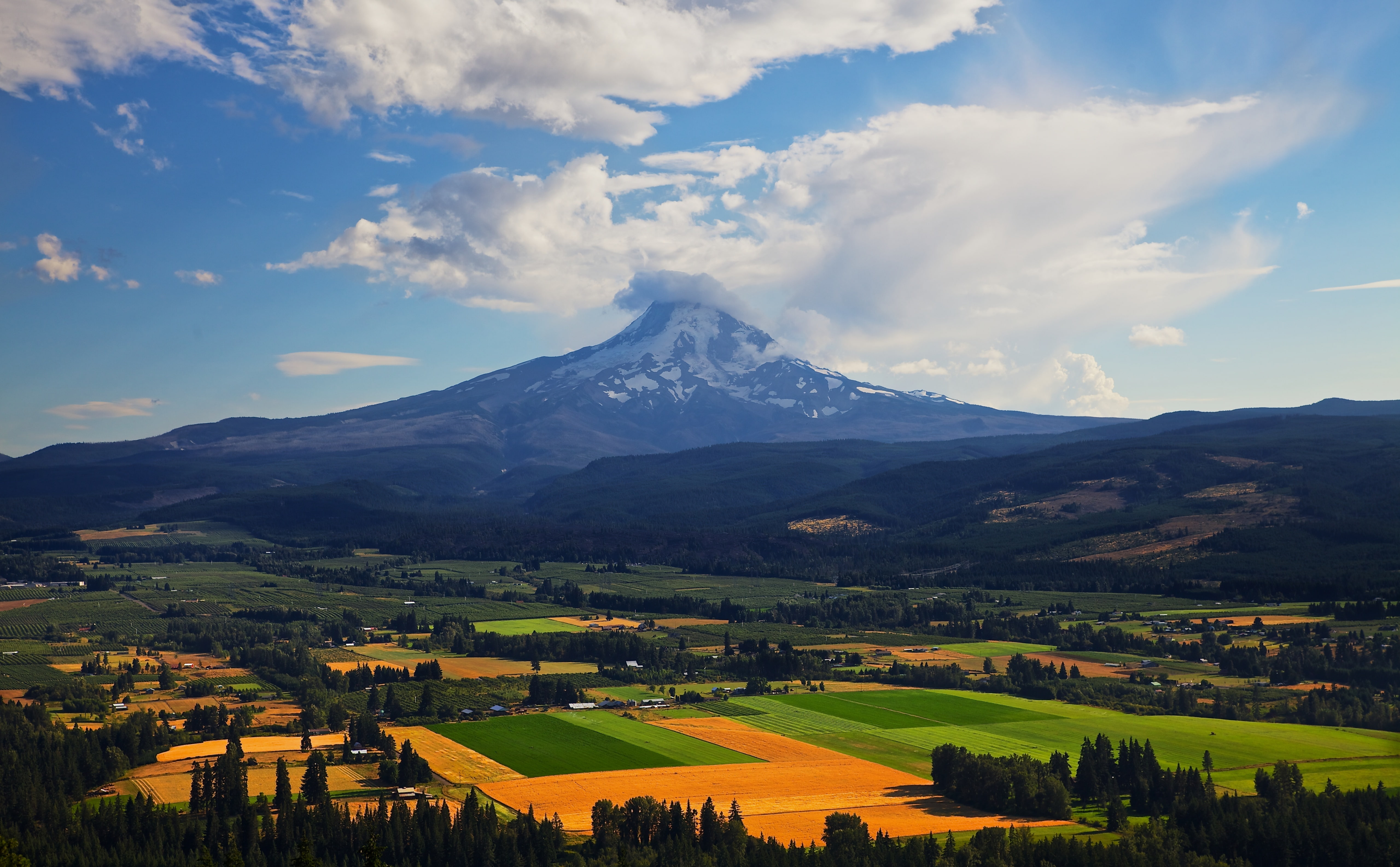 Skies, West, brown, Mark, no people, orchards, snowcapped mountain, mountain peak, non-urban scene, North, Oregon, Pacific, northwest, architecture, agriculture, HD Wallpaper