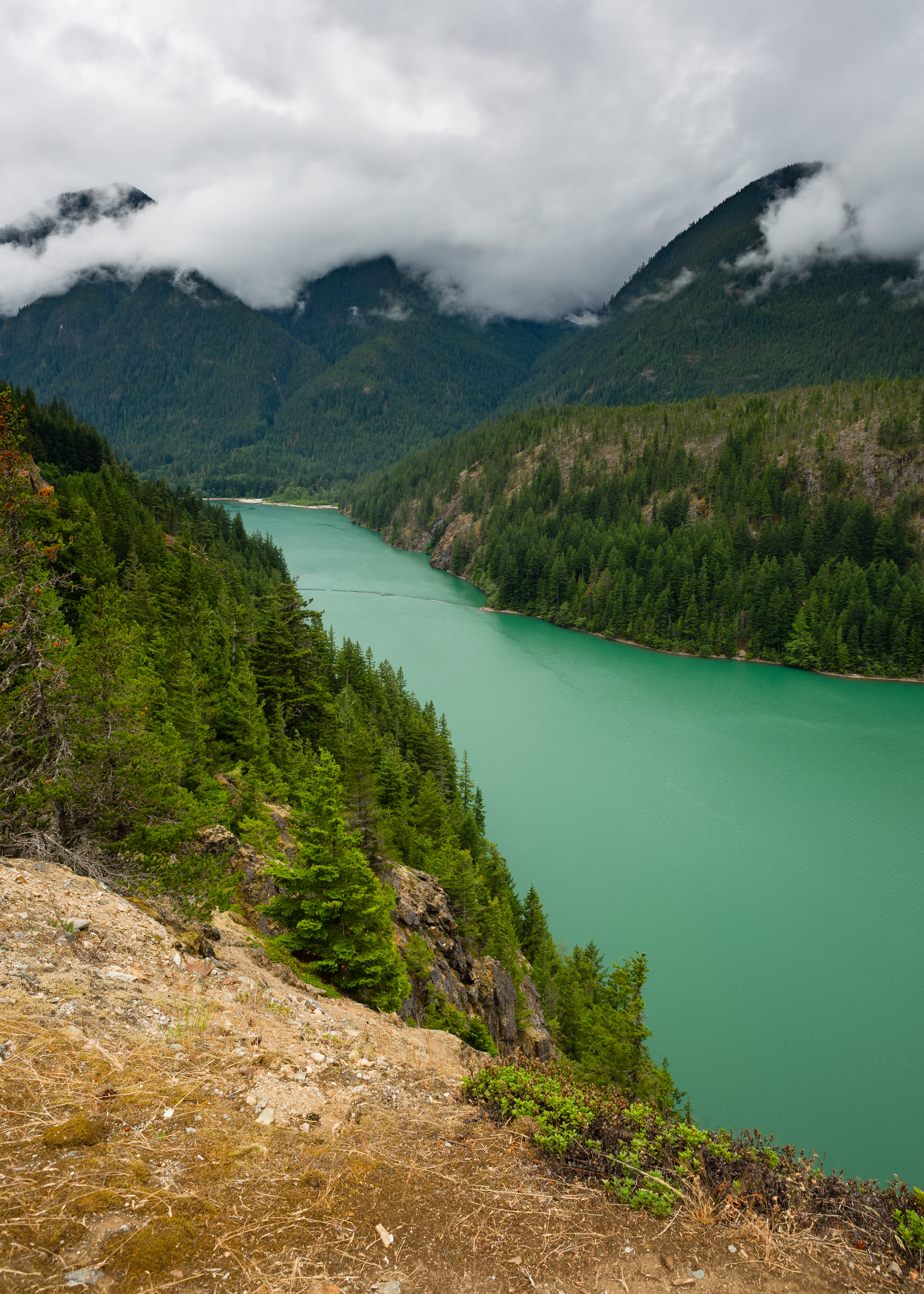 sky, tranquil scene, pacific northwest, outdoors, non-urban scene, mountain, green color, lake, landscape, no people, trees, diablo lake, plant, turquoise colored, Phone HD Wallpaper