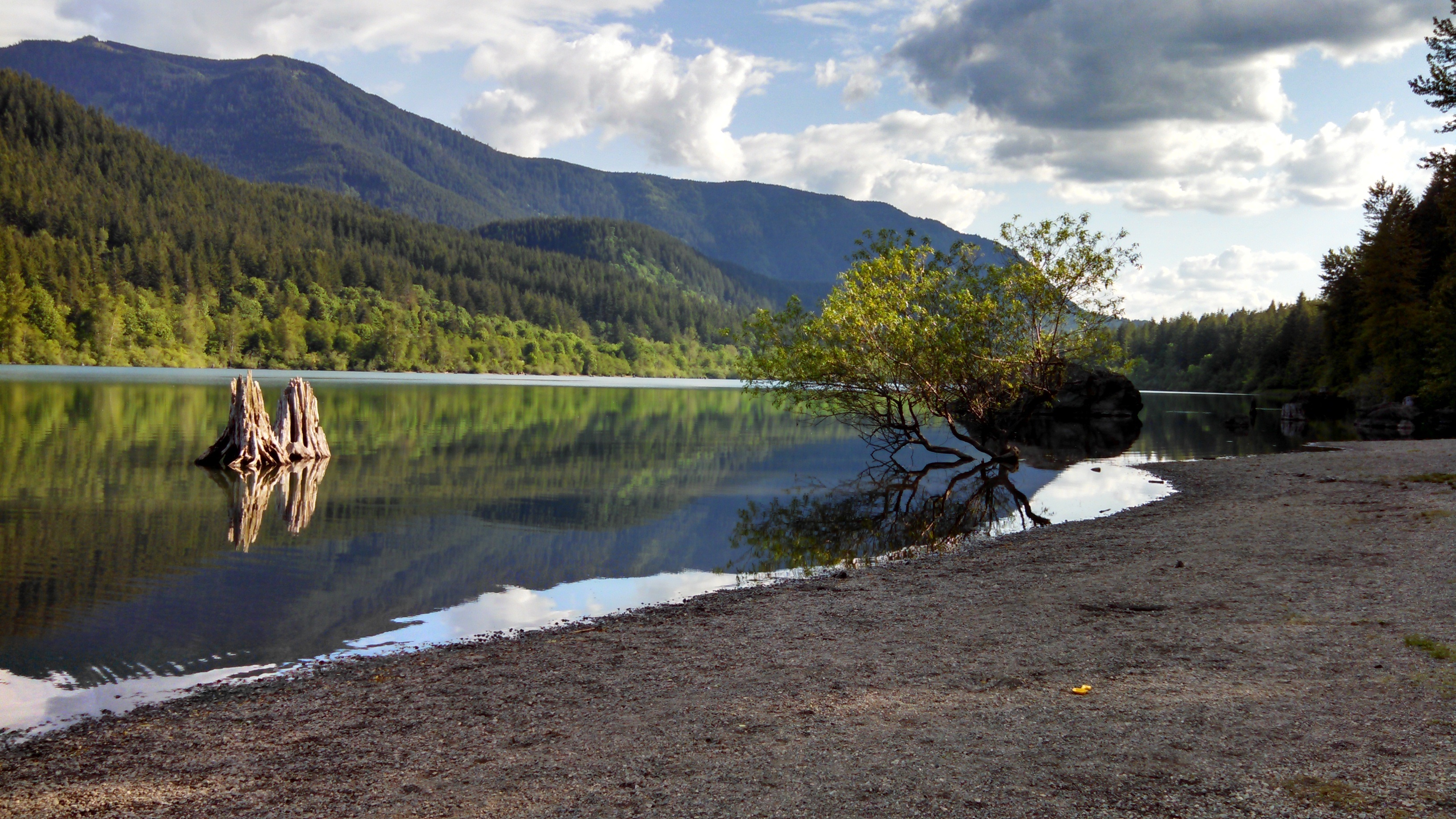 snag, cloud, non-urban scene, reflection, lake, sky, water, horizon, shore, scene, tranquil scene, 2K, rattlesnake lake, northwest, green, land, plant, HD Wallpaper