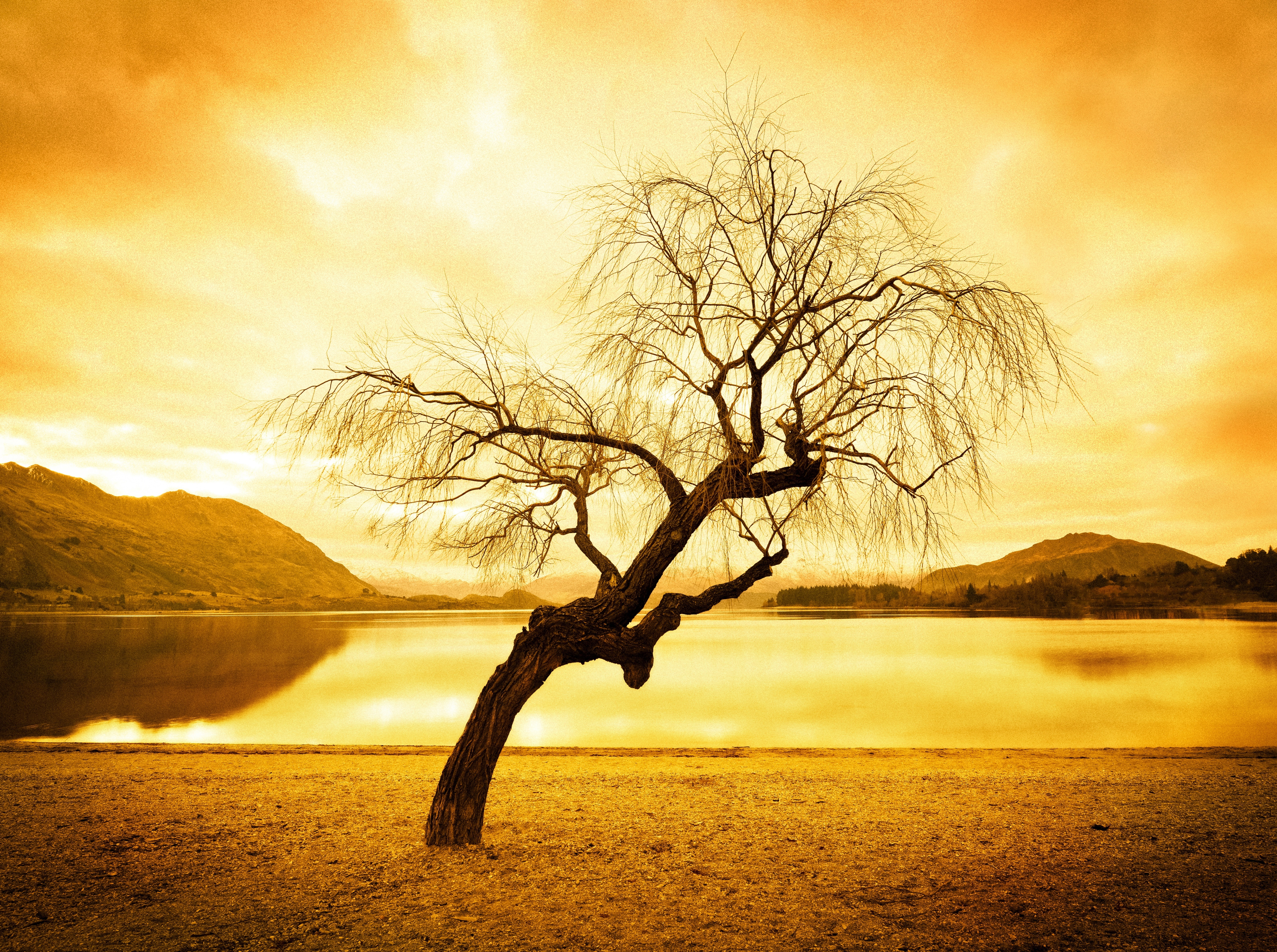 another, newzealandmtree, sunset, plant, treyratcliff, tranquil scene, mountain, Vintage, stuckincustomscom, nature, tranquility, remote, beauty in nature, HD Wallpaper