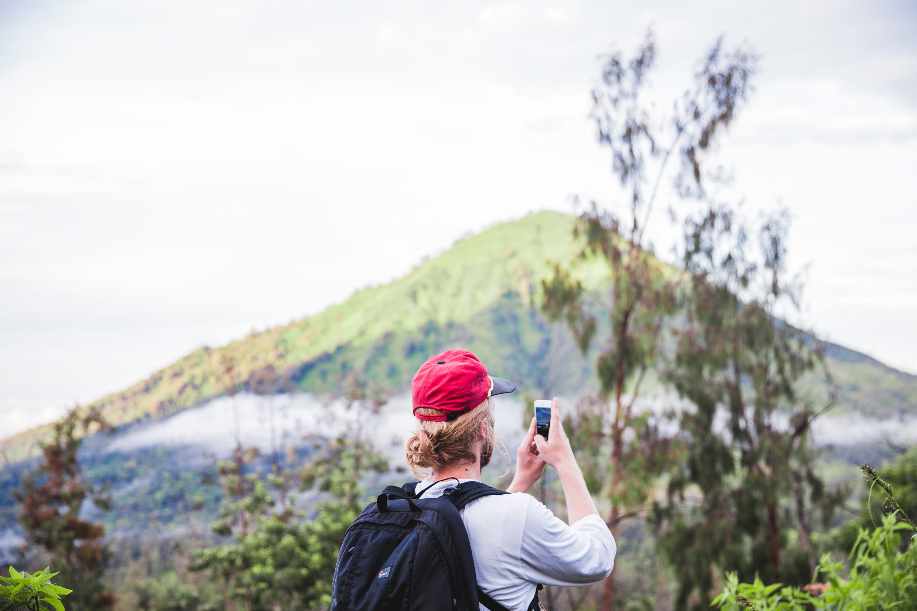 picture, mobile phone, rear view, man, leisure, grass, 2K, tourism, digital camera, nature, hiker, red cap, trees, forest, hands, adult, view, selfie, HD Wallpaper