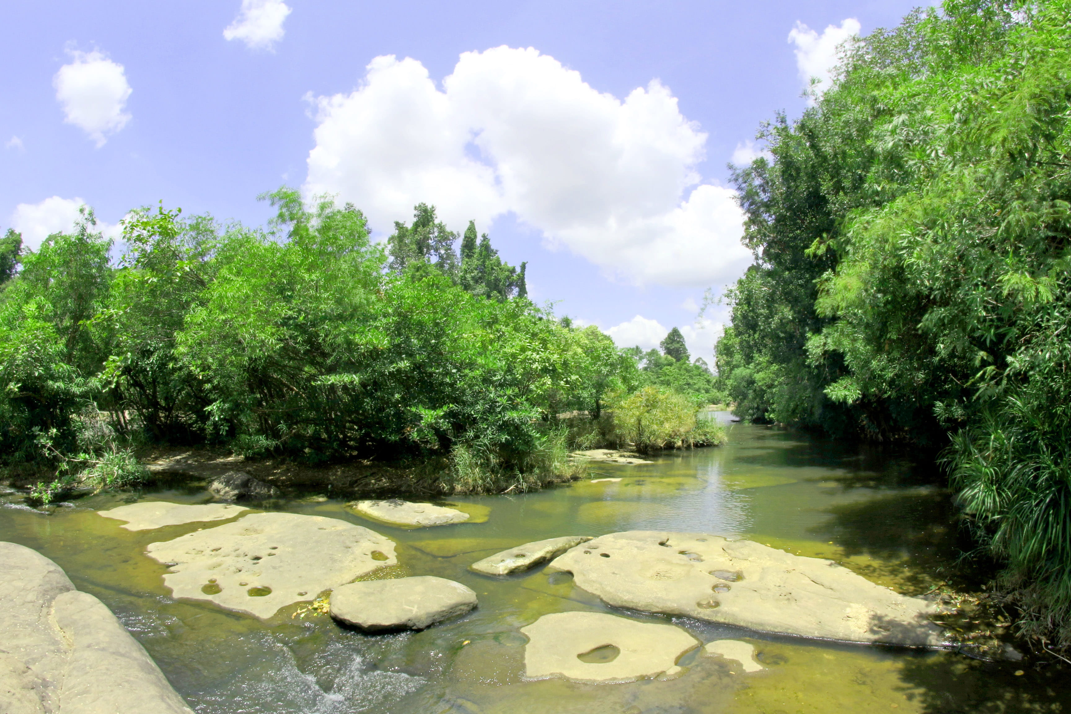 flow, wild, water, plants, growth, creek, tranquil scene, rainforest, tranquil, thailand, asia, sight, 2K, peaceful, tree, rock, no people, sky, travel, HD Wallpaper