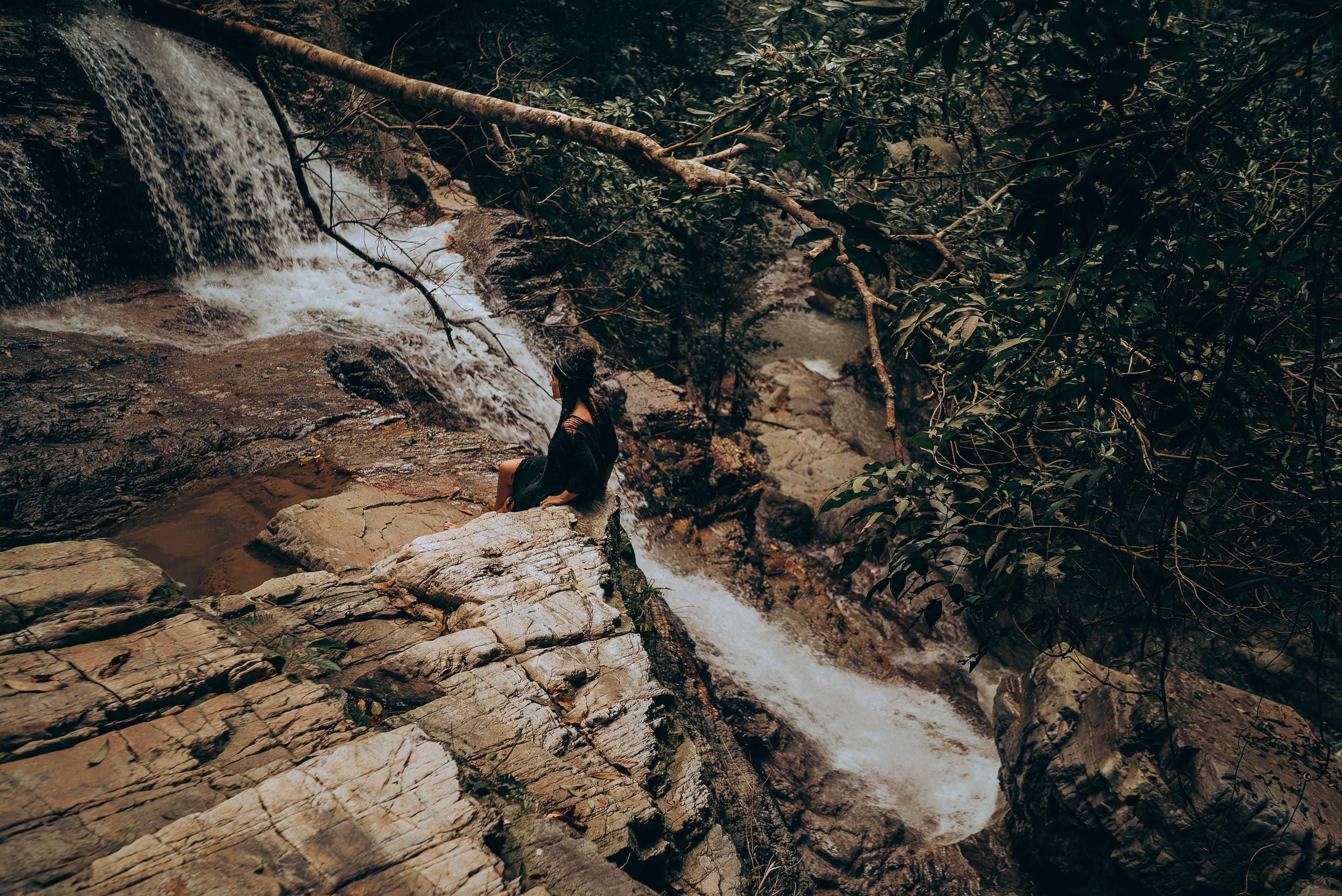 daylight, beauty in nature, woods, high angle view, edge, waterfowl, girl, green, leisure activity, beside, flowing water, trees, full length, plant, land, HD Wallpaper