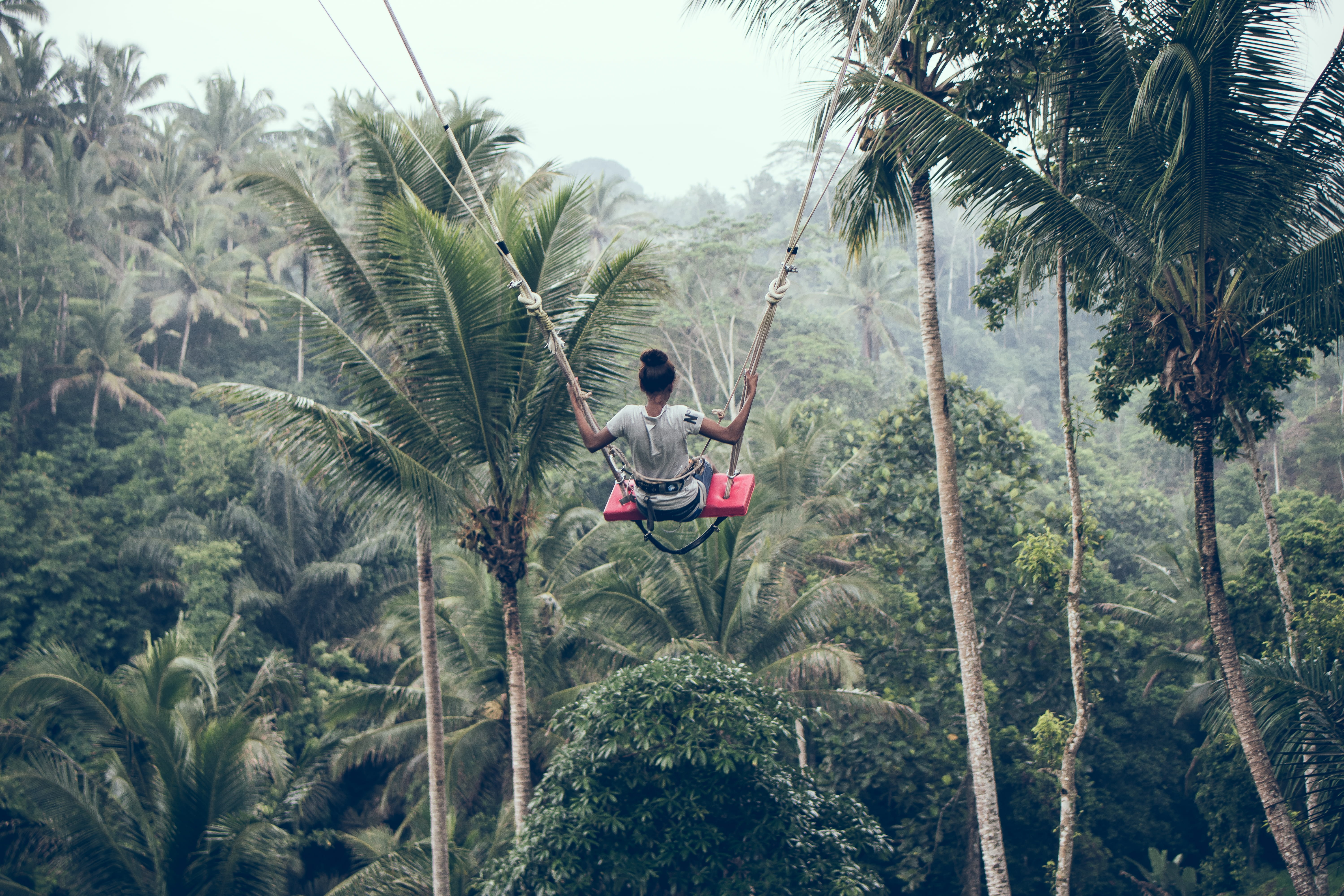 view, safety harness, asia, landscape, scenery, forest, environment, scenic, outdoors, daylight, land, young, day, protection, nature, line, growth, coconut trees, HD Wallpaper