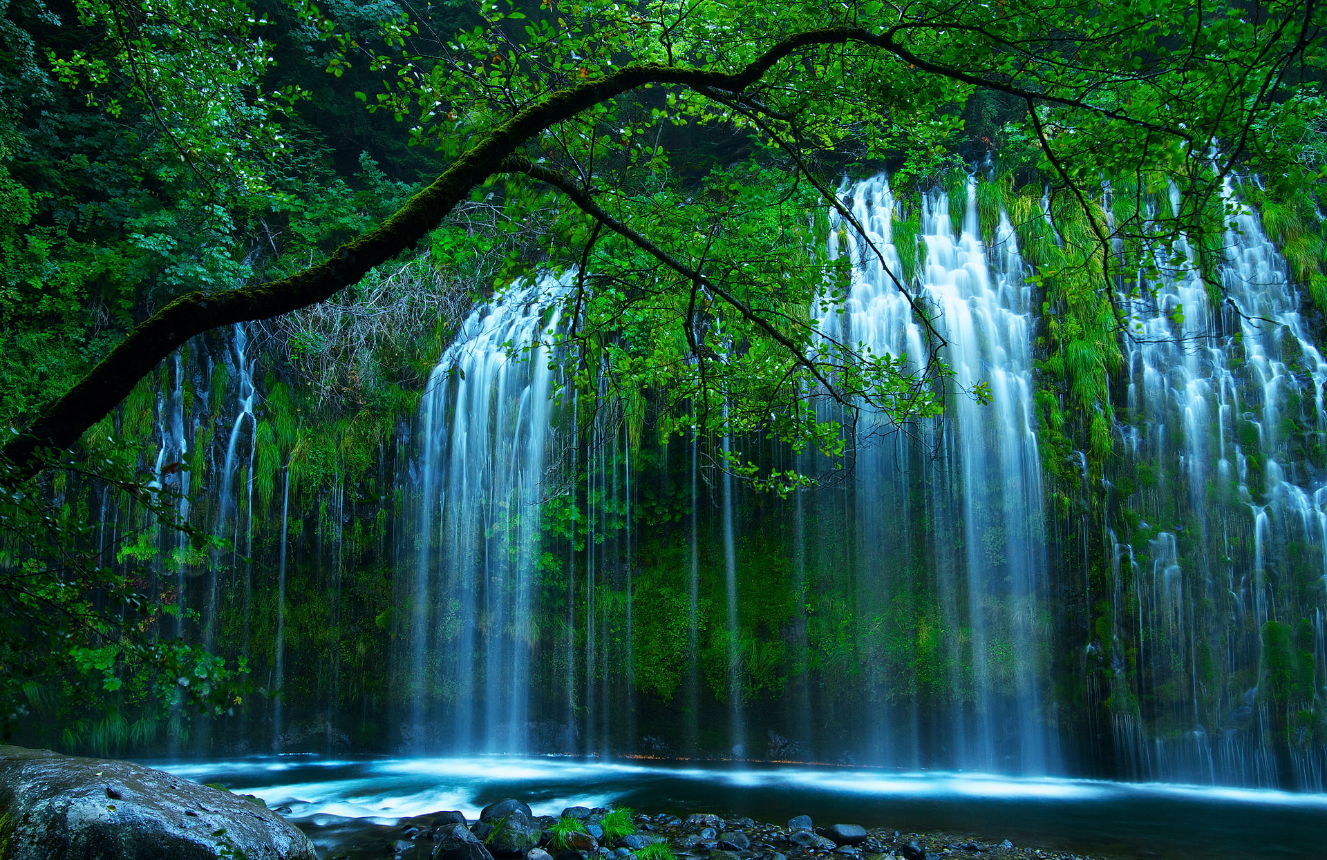 1080P, land, idyllic, tranquility, no people, summer, tropical Rainforest, long exposure, lush Foliage, Dunsmuir, heaven, springtime, Sacramento River, HD Wallpaper