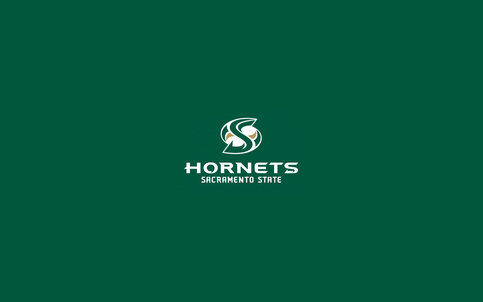 Sacramento State, business, basketball, student, sacramento, sports, CSUS, MIS, Sac States, Business Student, art, hd, state, misa, 720P, HD Wallpaper