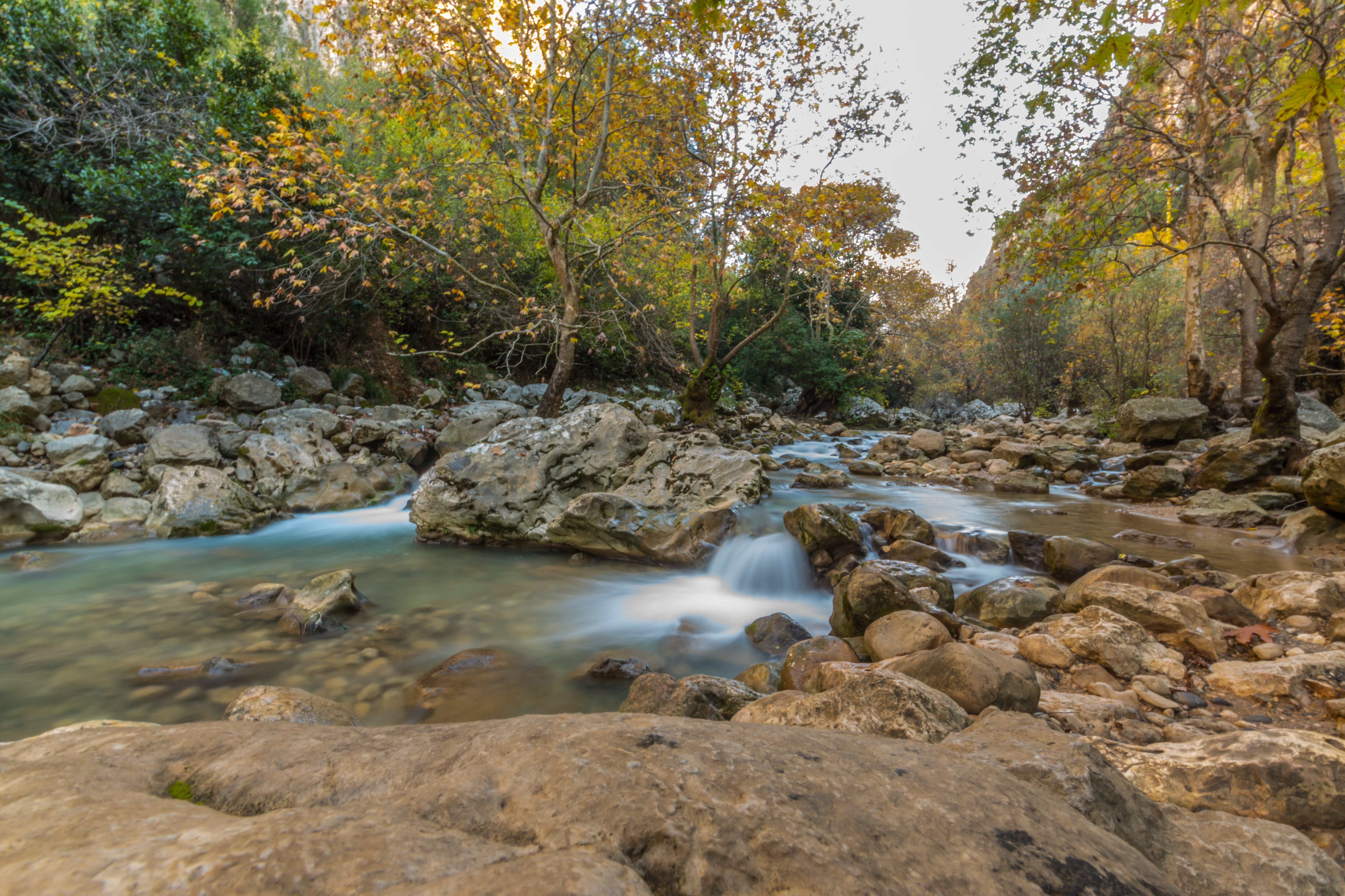beauty In Nature, nature, scenics, creek, beside, lebanon, day, landscape, trees, flowing Water, time, waterfall, wide  angle, outdoors, River, formation, HD Wallpaper