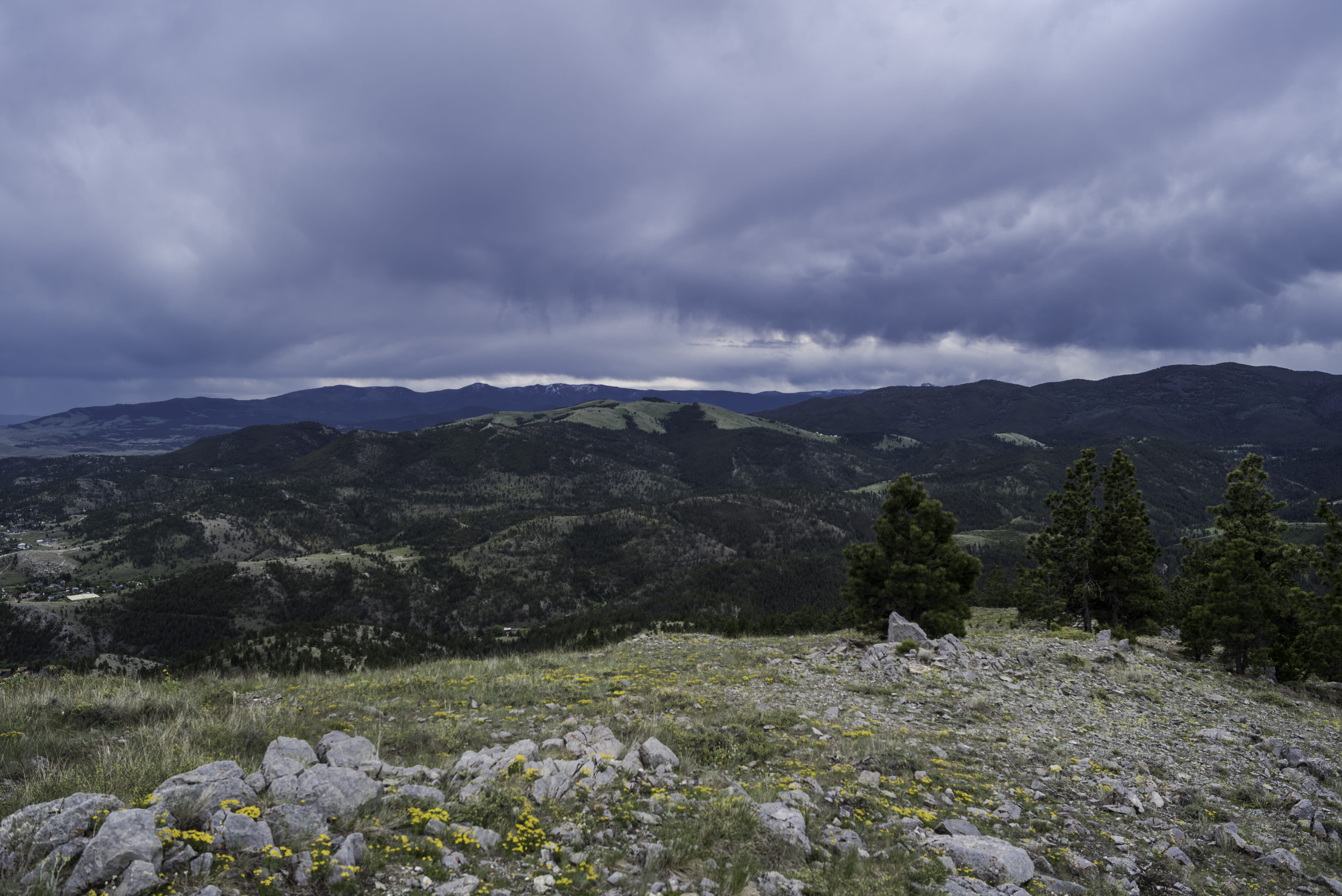 beauty In Nature, summer, mountain, scenics - nature, overcast, montana, sky, outdoors, coniferous tree, storm cloud, top, dramatic sky, hill, public domain, HD Wallpaper