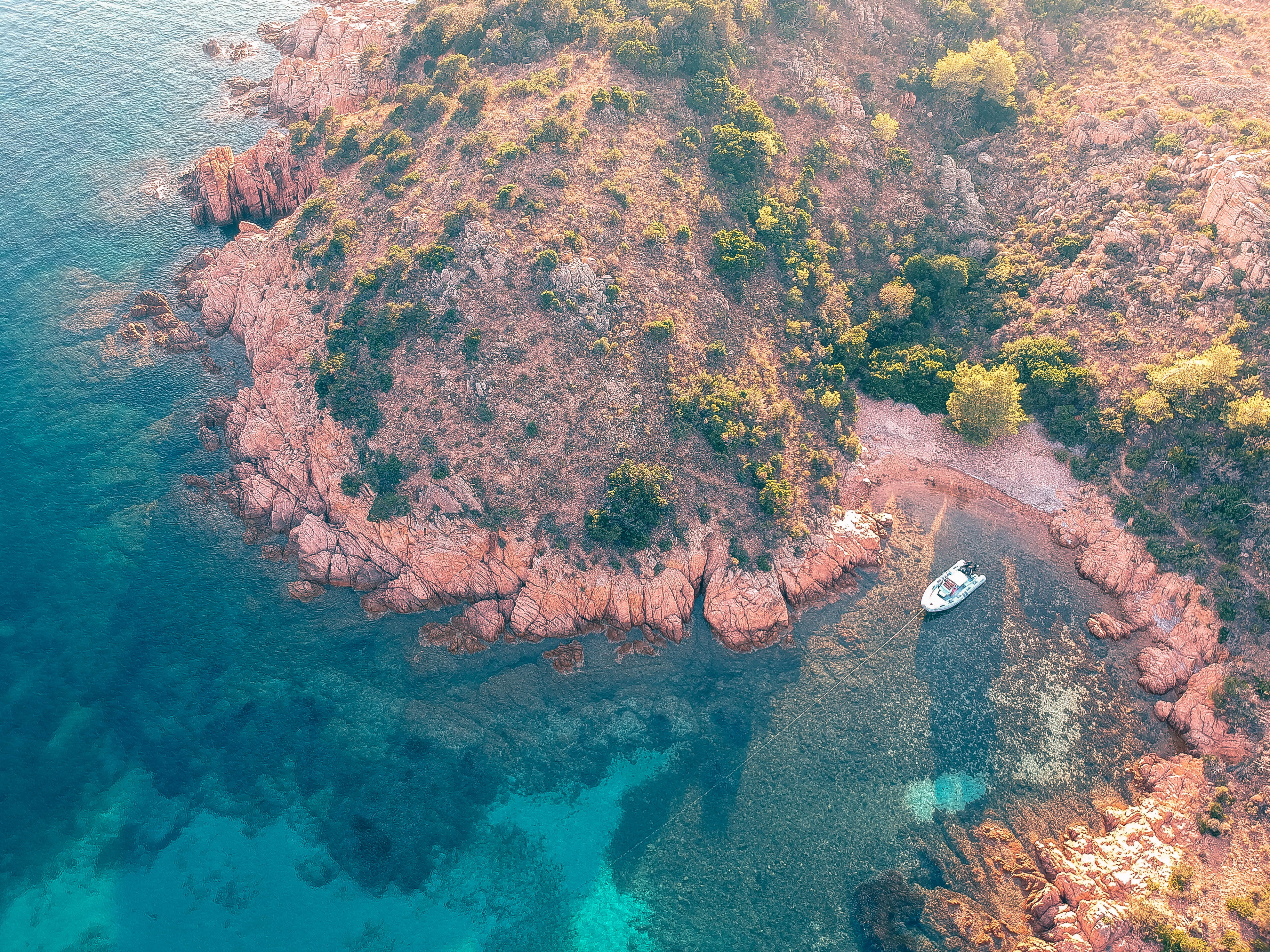 beside, speedboat, water, nature, coral reef, tranquility, scenics - nature, sea life, ocean, white, animal, boat sail, day, tranquil scene, drone shot of sea side, HD Wallpaper