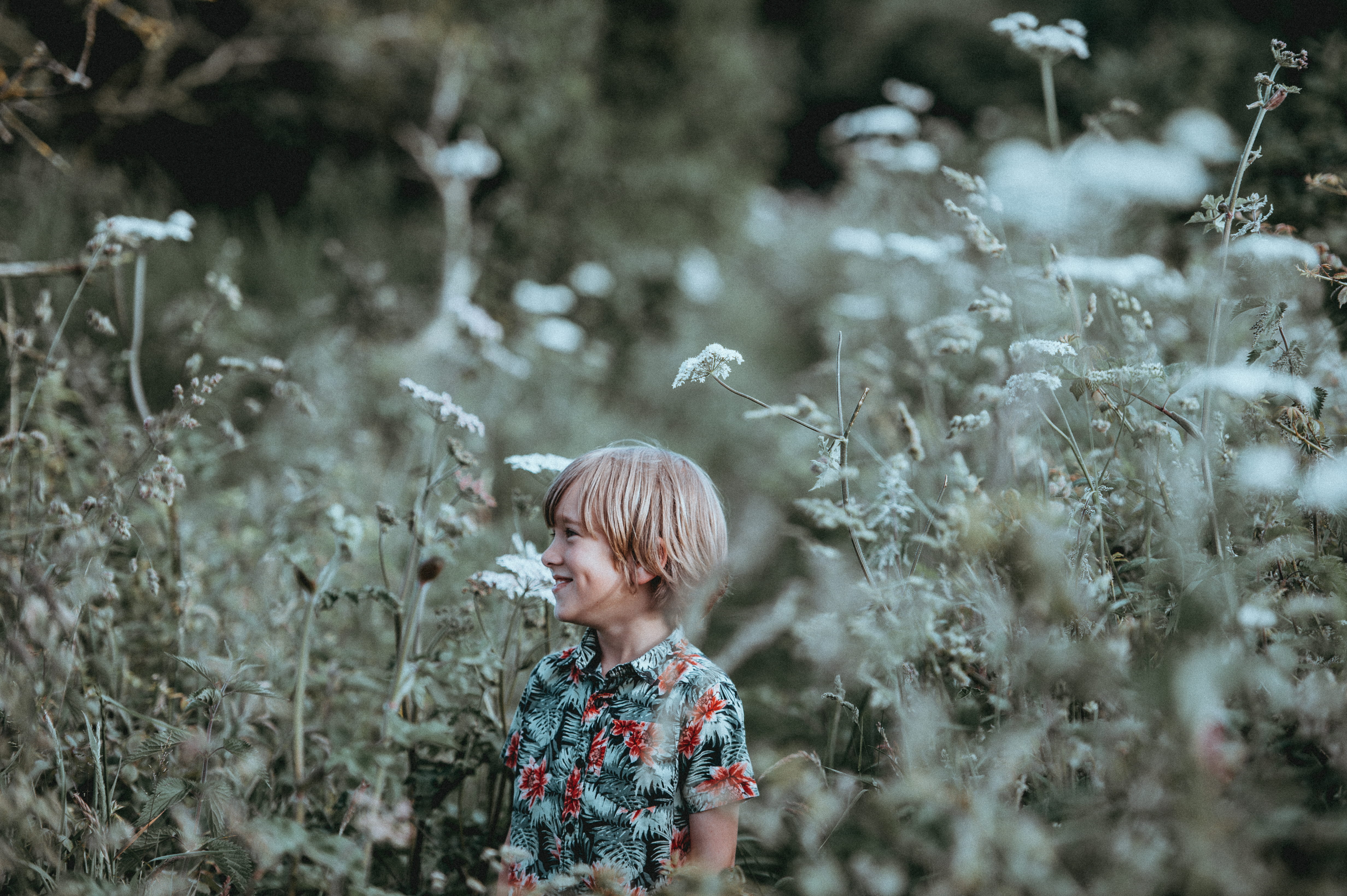 flowers, white, looking, plant, photography, gray, flower, folk, tilt, standing, day, tree, nature, lens, males, men, outdoors, moody, boys, offspring, HD Wallpaper