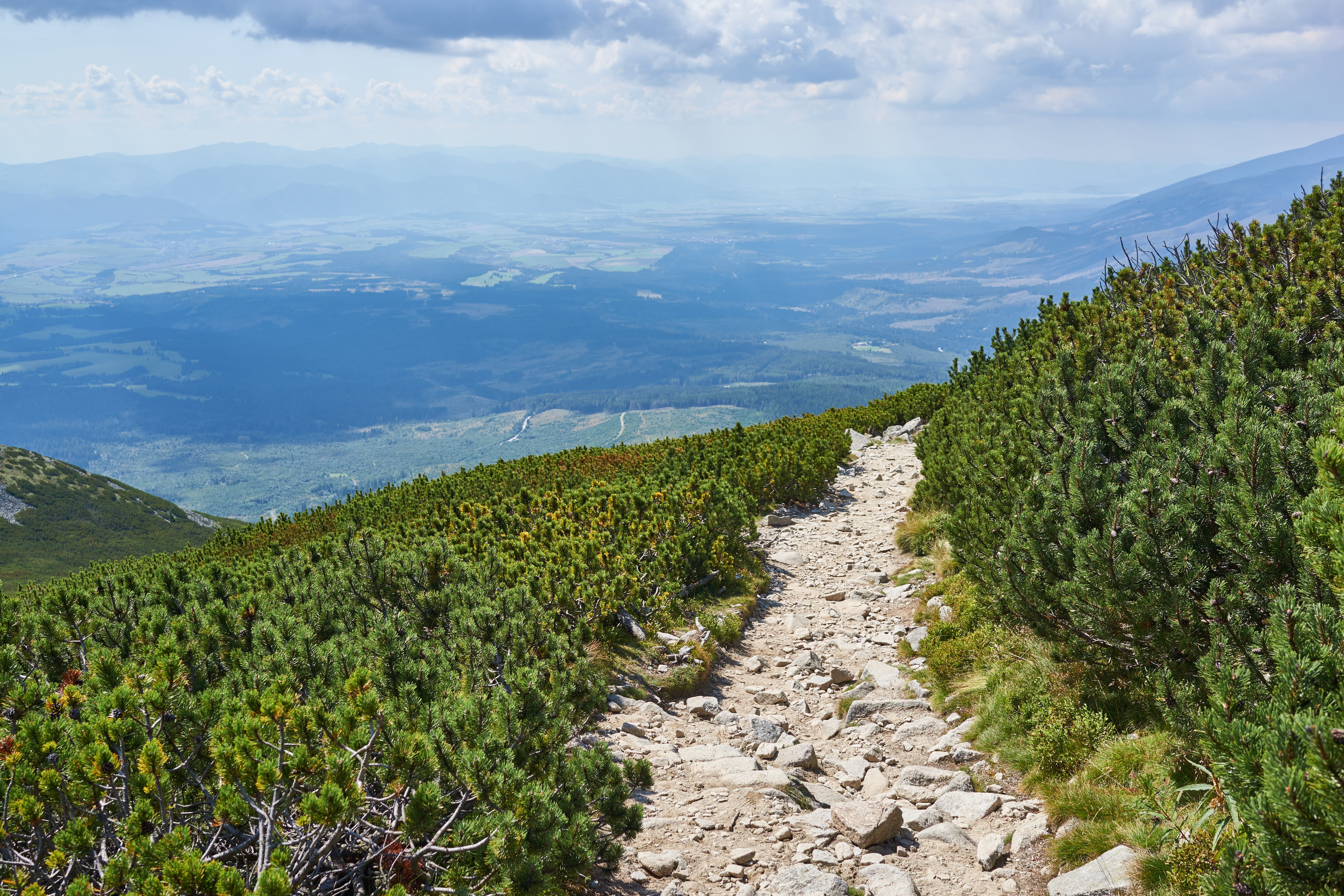 hill, land, hills, plantation, from the top of the, landscape, 5K, plant, idyllic, rocks, tree, water, kriváň, day, green color, mountain, path, walkway, HD Wallpaper