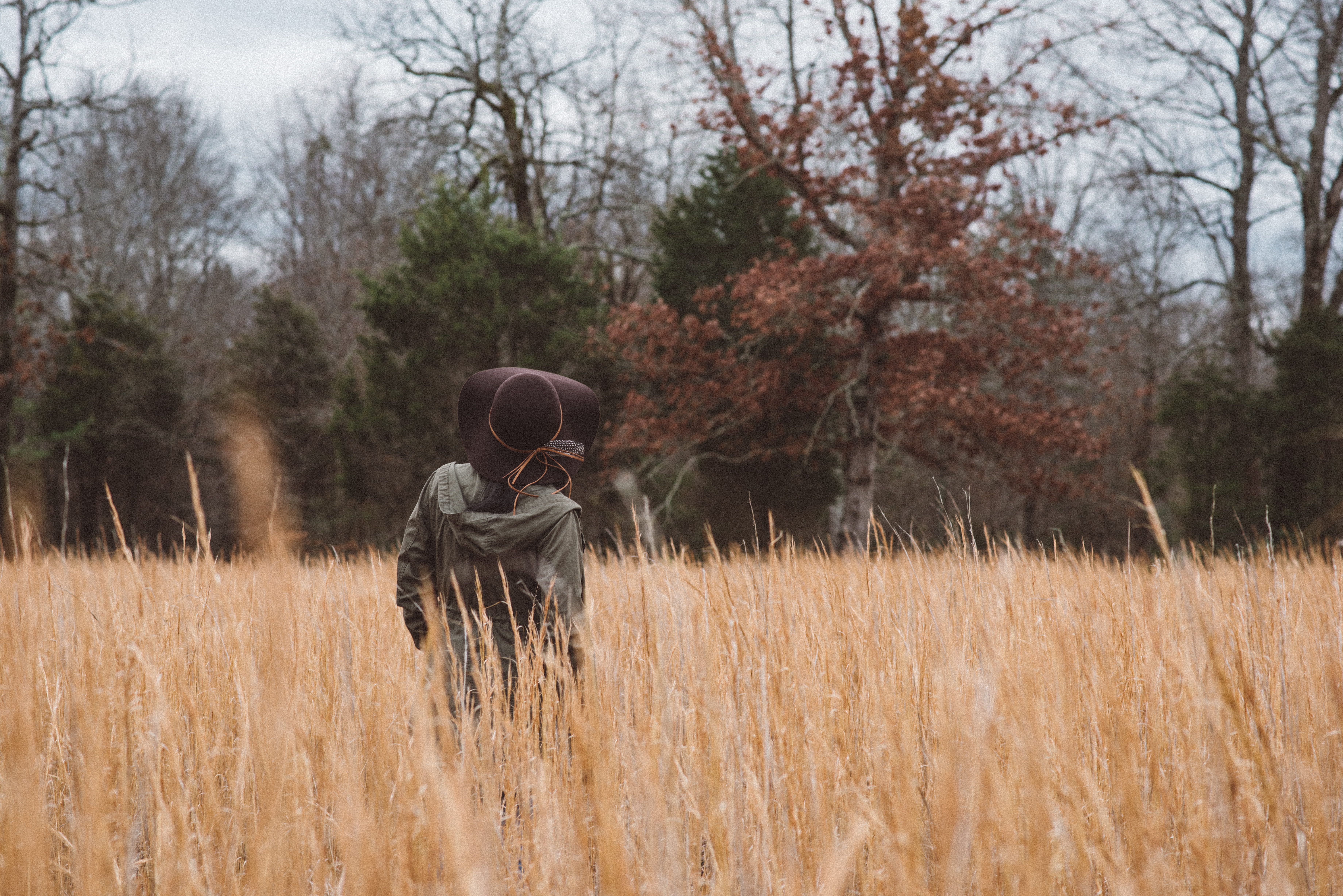 plant, brown, 5K, tree, landscape, near, one person, shallow, day, young adult, land, standing, leafed, trees, black, grasses, nature, green, jacket, adult, HD Wallpaper