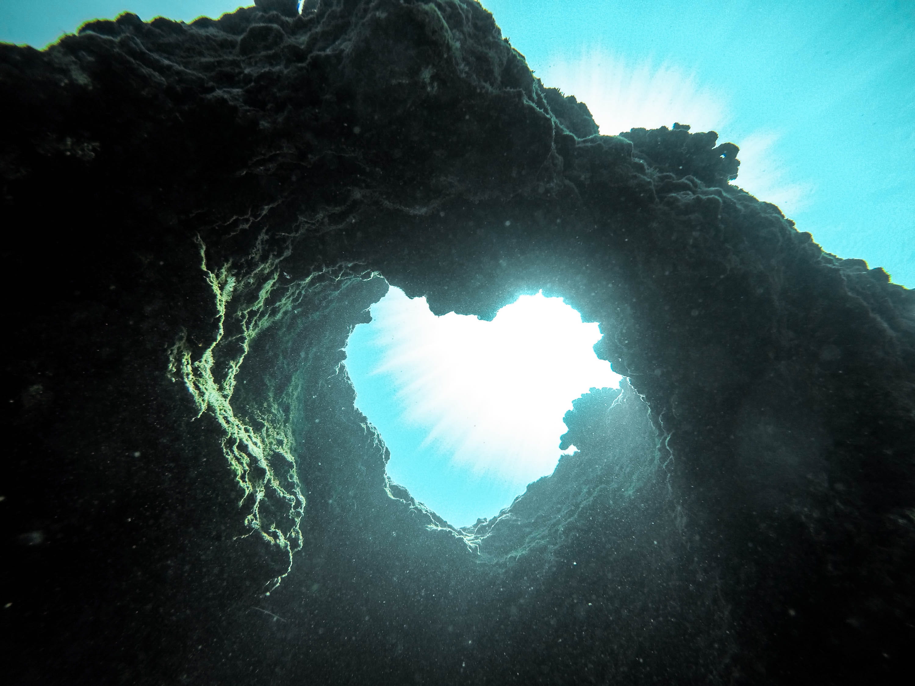 tranquil scene, heart, sea, day, power in nature, sealife, snorkeling, ocean life, rock, reef, blue, beauty in nature, sunlight, ocean, gopro, water, o‘ahu, HD Wallpaper