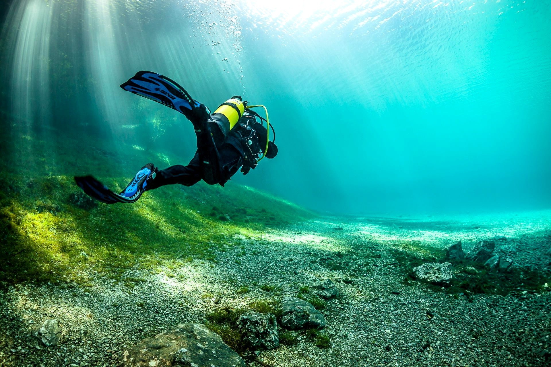 animal wildlife, aqualung - diving equipment, animals in the wild, exploration, adventure, animal, sport, outdoors, nature, scuba diving, marine, swimming, HD Wallpaper