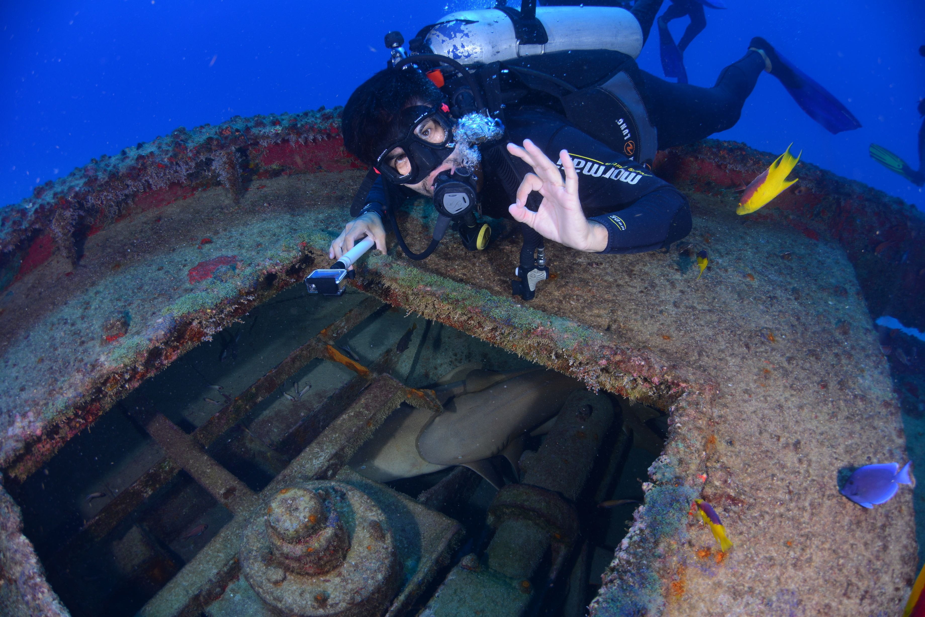shipwreck, aqualung - diving equipment, 2K, passion, mid adult, ocean, diving, underwater diving, adults only, animal themes, at the bottom of the ocean, HD Wallpaper
