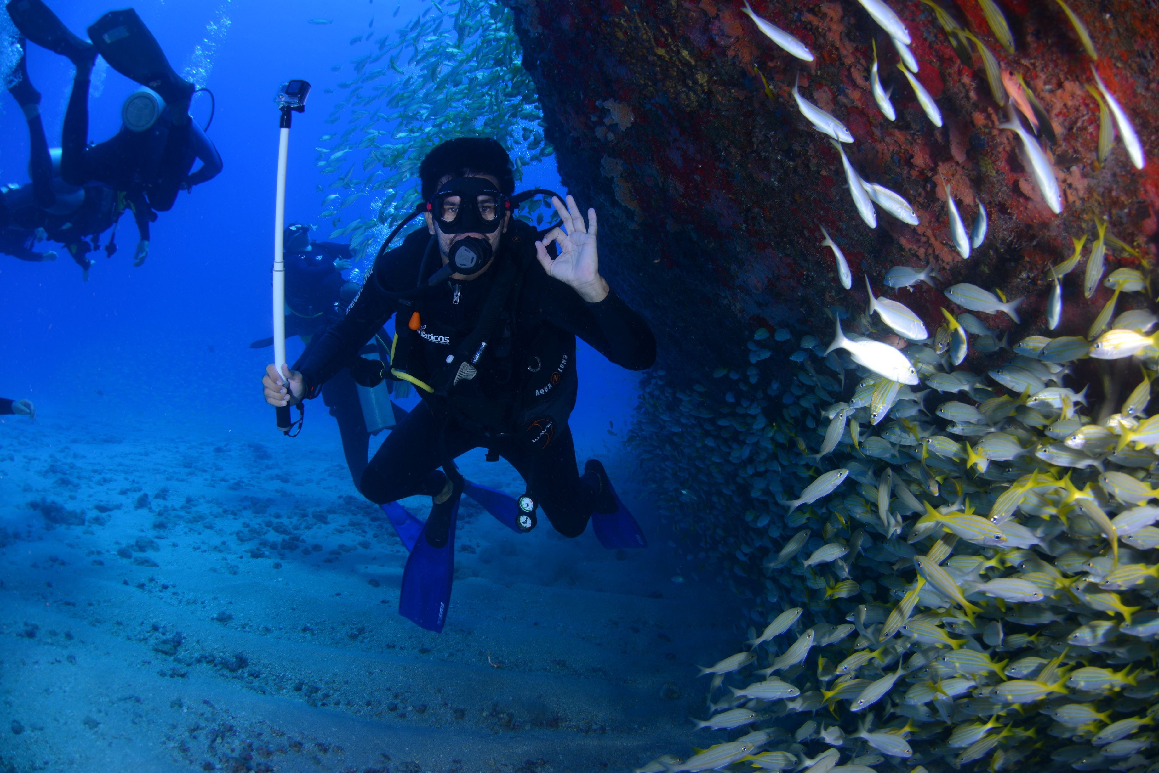 blue, mar, scuba, marine, diver, at the bottom of the ocean, 2K, adventure, ocean, diving, people, sea, undersea, swimming, reef, full length, front view, HD Wallpaper