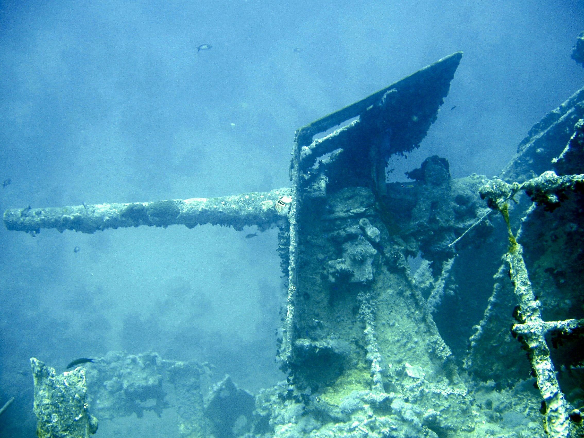 aquatic sport, egypt, ship, transportation, nautical vessel, outdoors, gun, turquoise colored, thistlegorm, 1080P, beauty in nature, swimming, scuba diving, HD Wallpaper