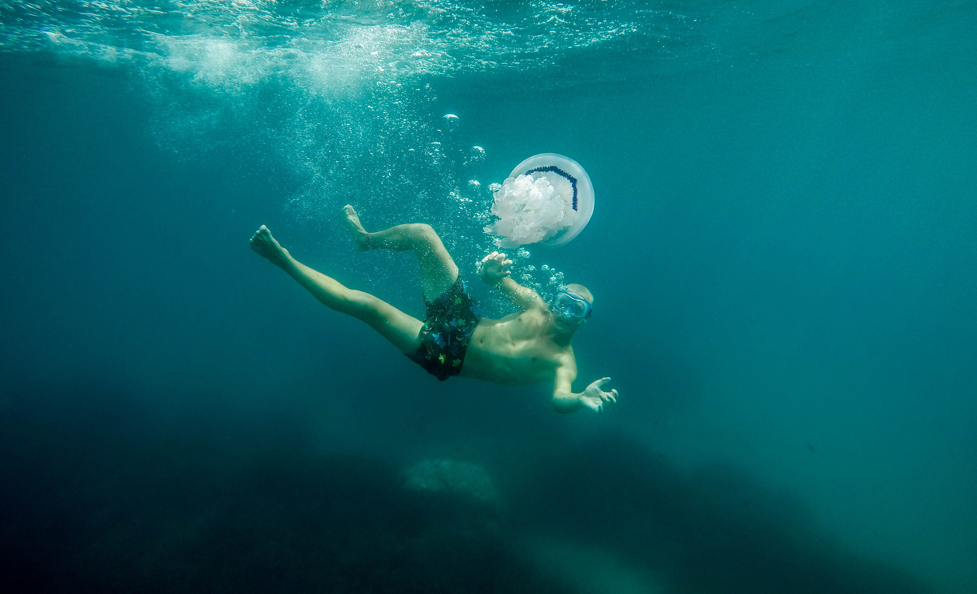 travel Destinations, diving Flipper, man, tropical Climate, nature, forever, recreational Pursuit, deep, underwater, outdoors, sea, coral, bubble, relaxation, HD Wallpaper
