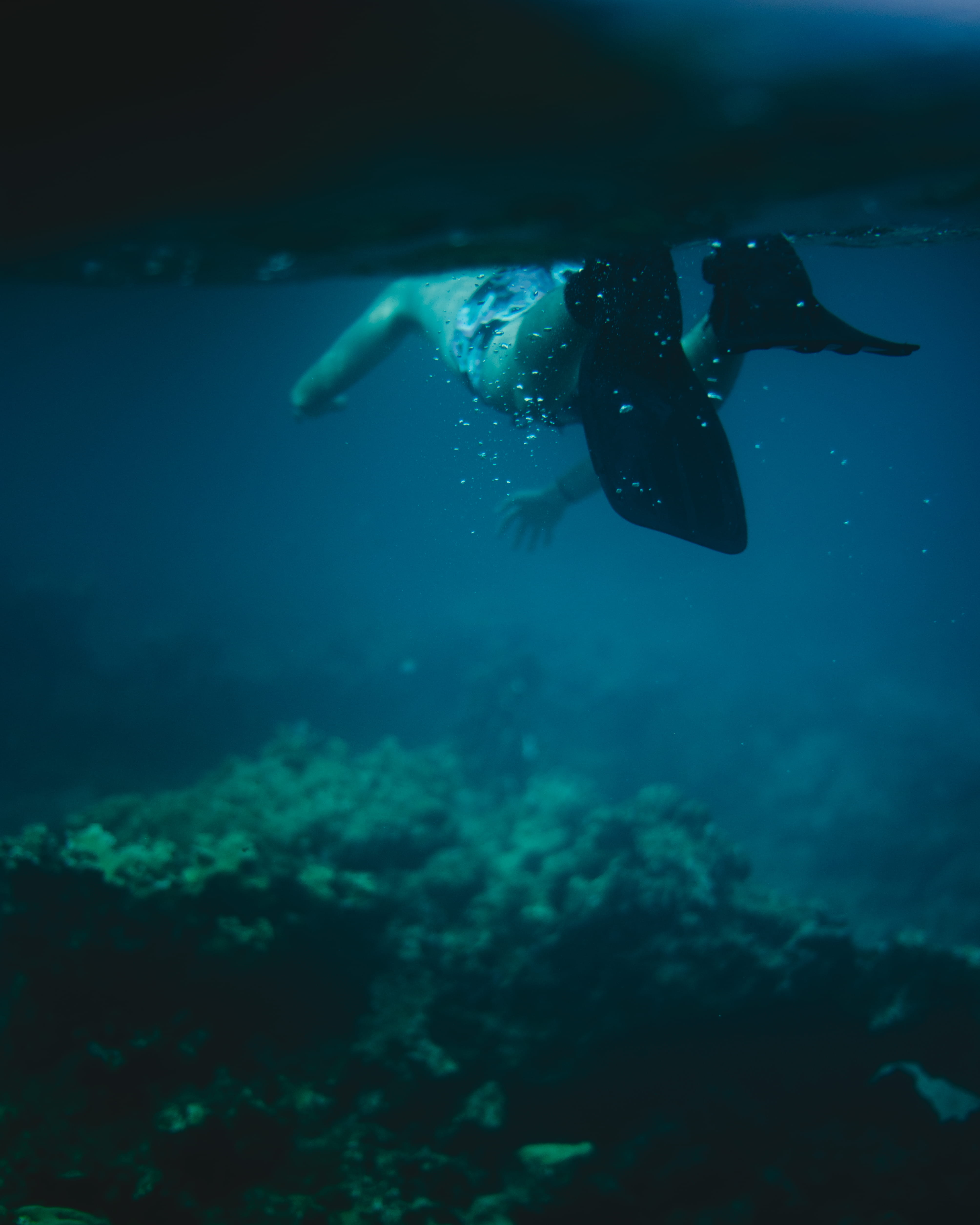 black, flippers, recreational Pursuit, sea Life, people, diving Flipper, adventure, fish, pacific Ocean, travel, water, diving Into Water, outdoors, animal, Phone HD Wallpaper