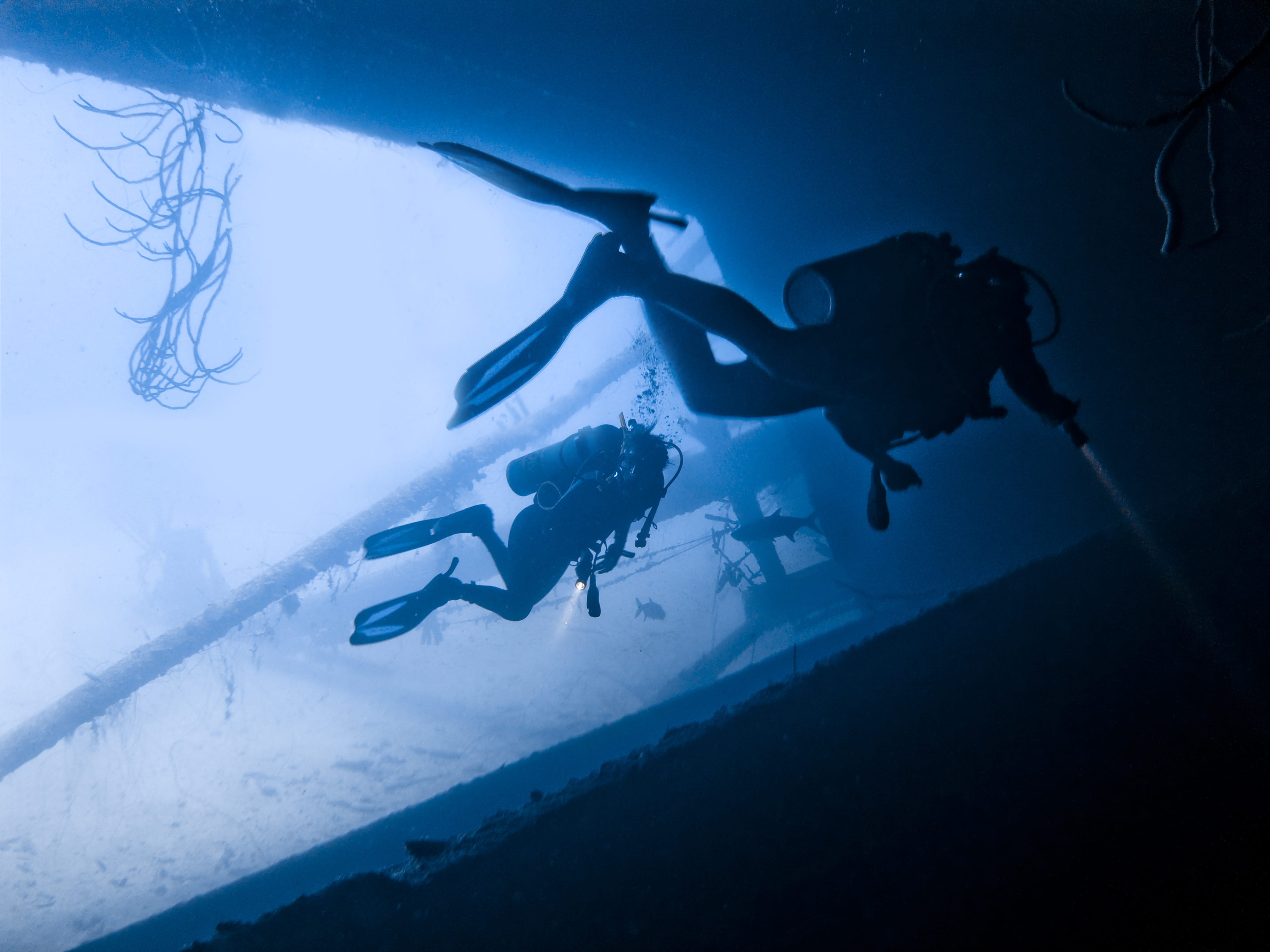 undersea, blue, underwater diving, exploration, sea, water, scuba diving, scuba, wreck, marine, aquatic sport, underwater, whipwreck, 2K, person, swimming, HD Wallpaper