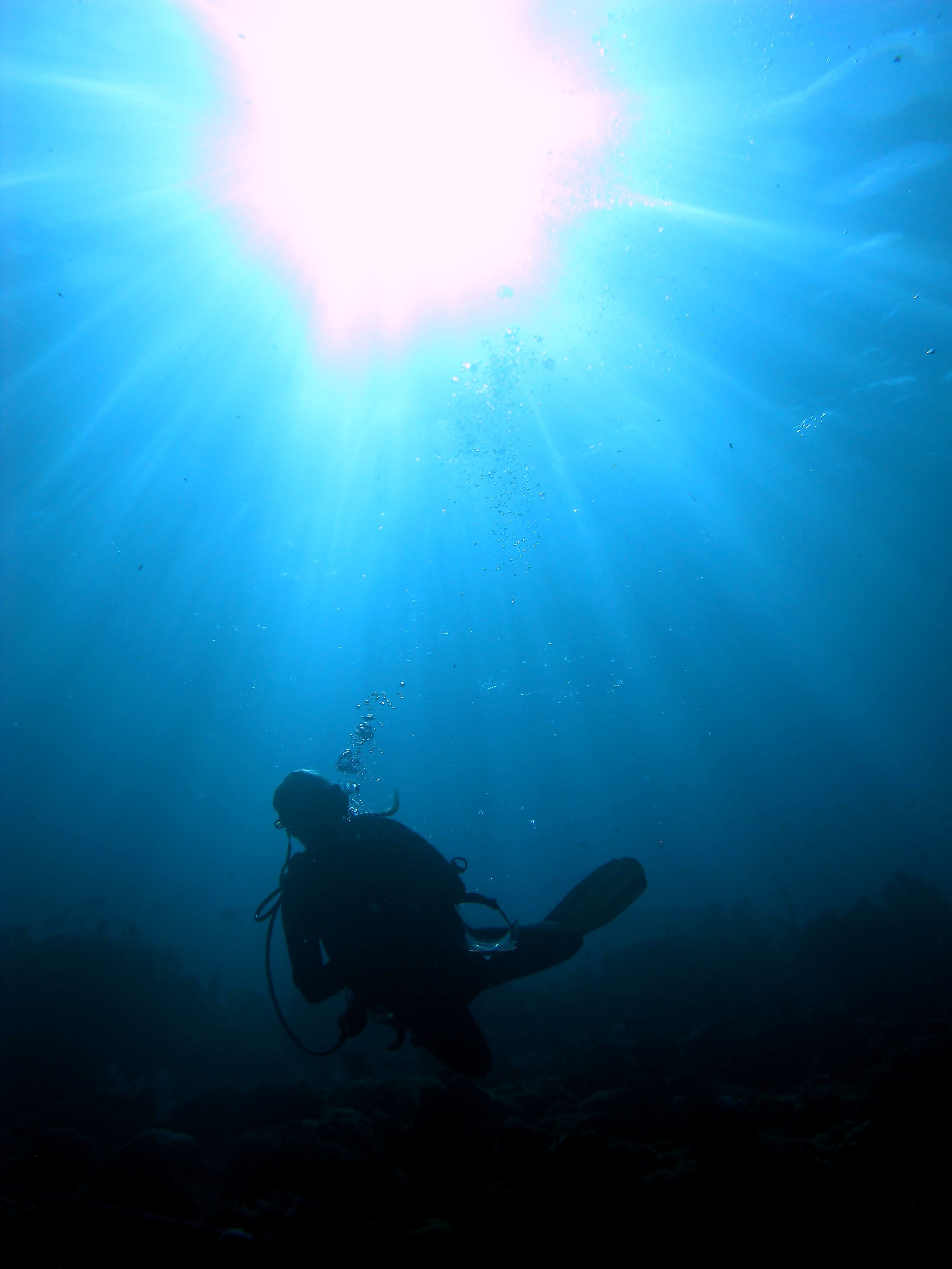 Underwater, sport, sunbeam, diving flipper, swimming, aqualung - diving equipment, Sunlight, scuba diving, unrecognizable person, aquatic sport, undersea, Phone HD Wallpaper