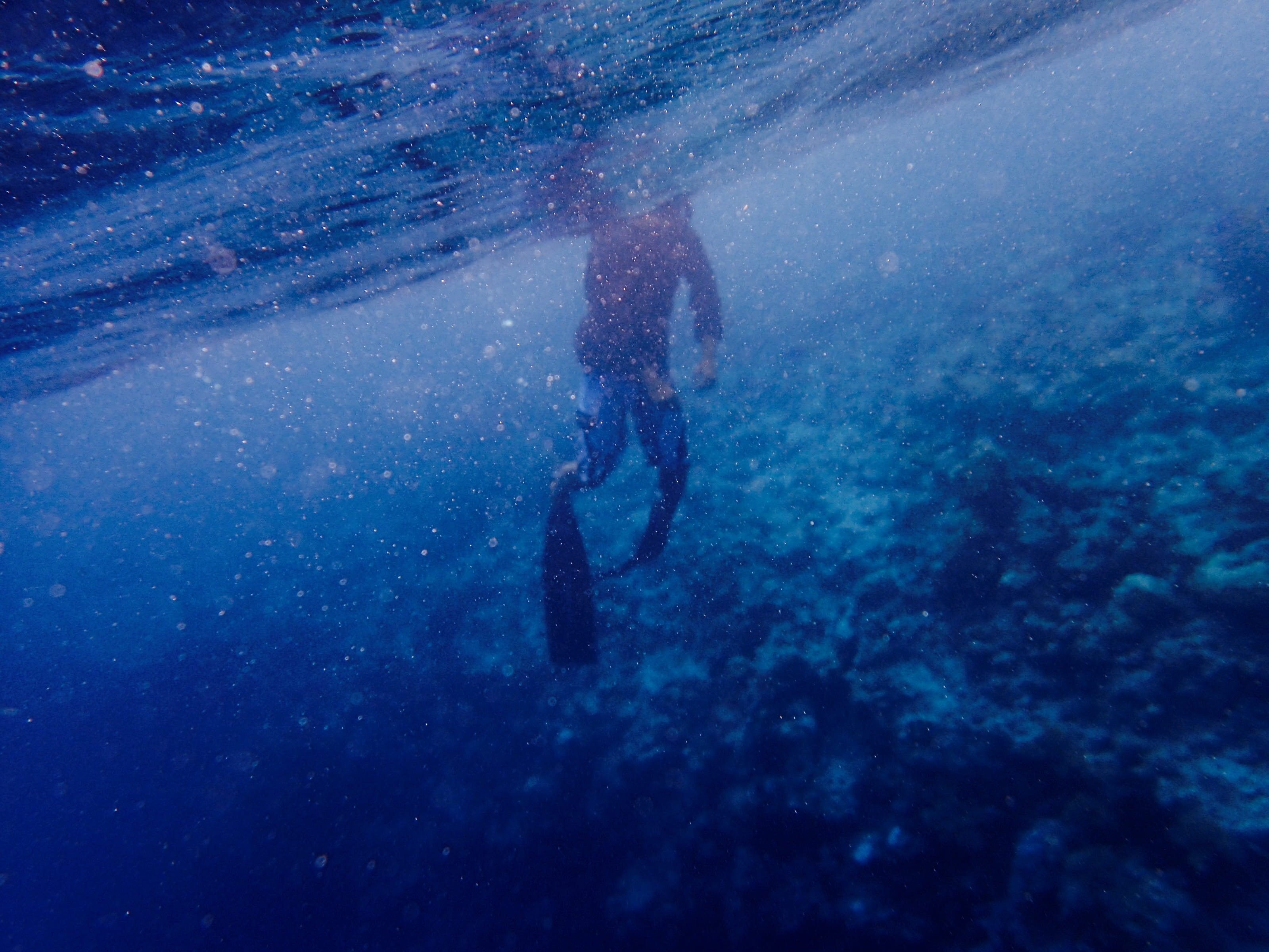 one person, 2K, ocean, leisure activity, corals, unrecognizable person, full length, lifestyles, people, man, sea, exploration, aquatic sport, adventure, HD Wallpaper