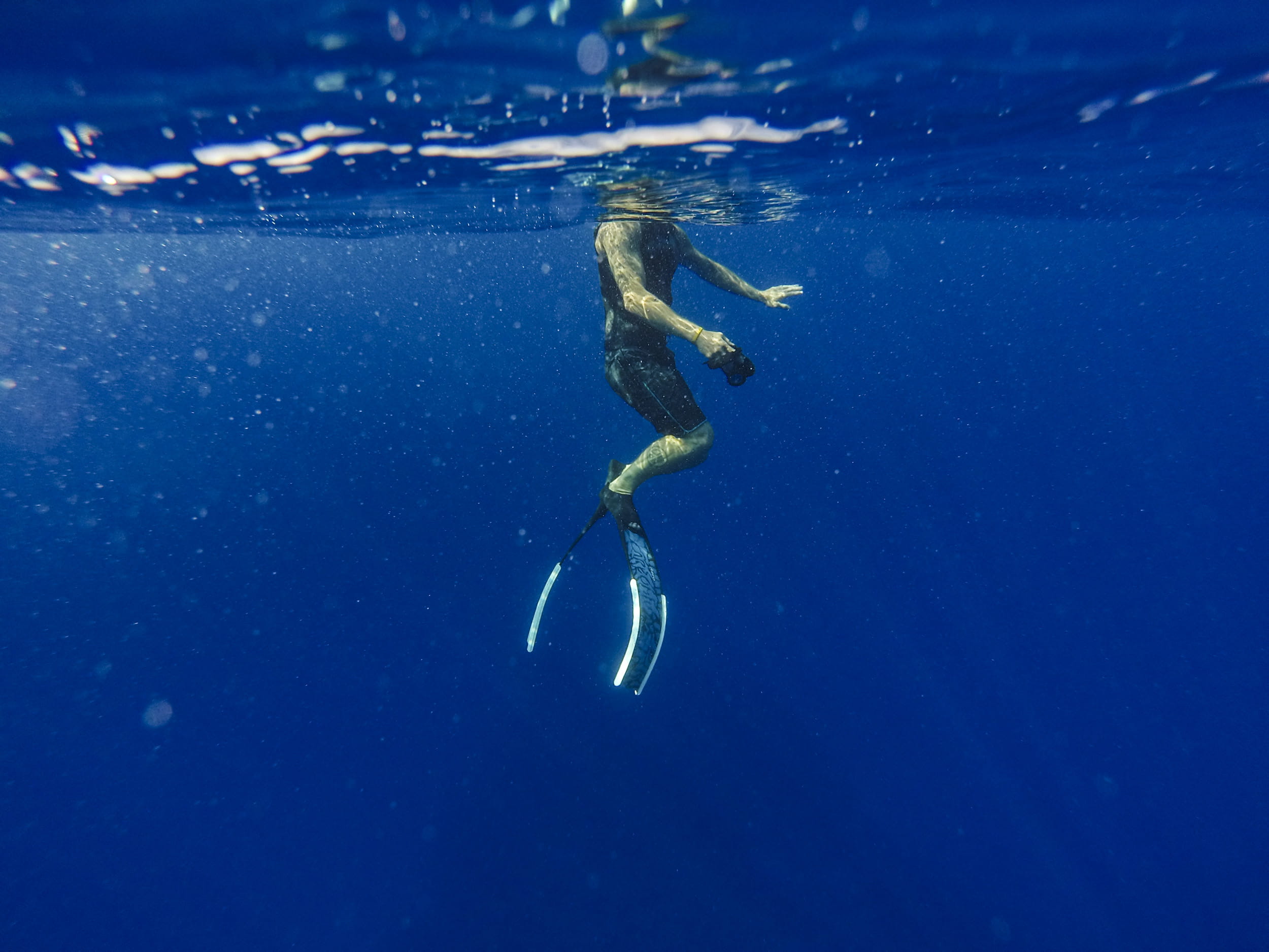 full length, sport, deep, aquatic sport, swimmer, flippers, diving flipper, leisure activity, underwater, man, marine, ocean, 1080P, one person, person, HD Wallpaper