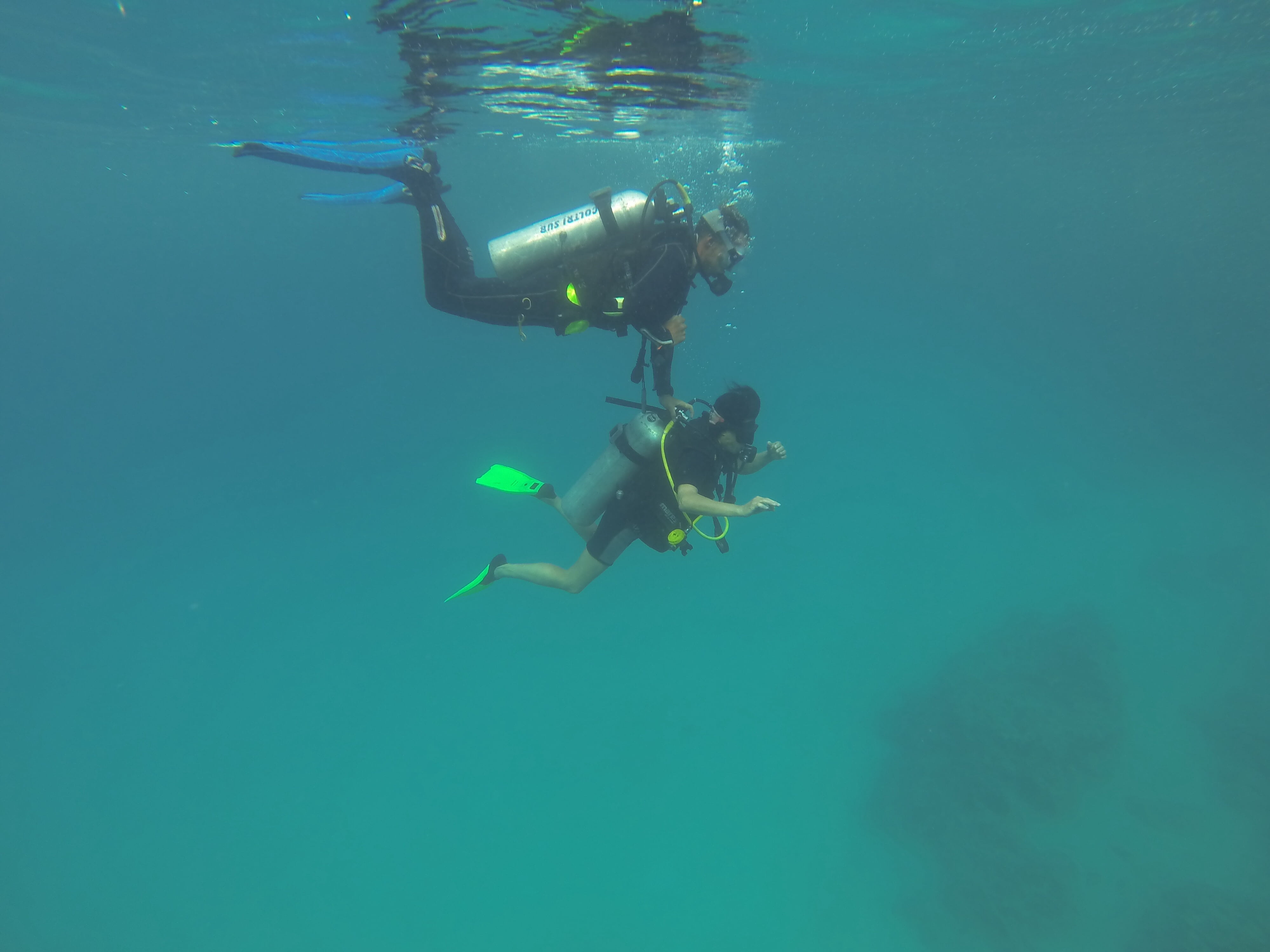 sub, undersea, nature, marsalam, sea, real people, men, leisure activity, underwater diving, aquatic sport, exploration, people, full length, swimming, HD Wallpaper