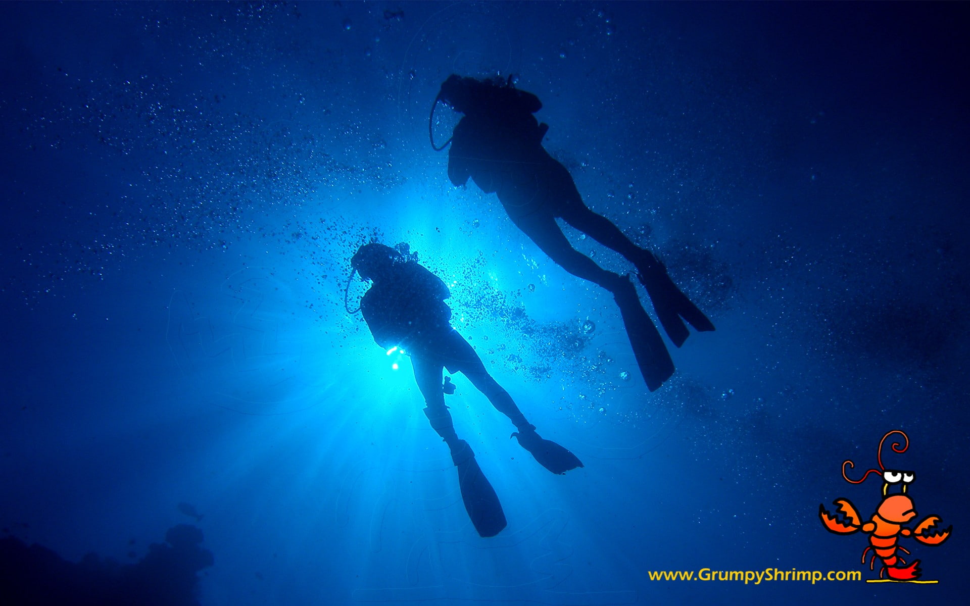 1080P, aquatic sport, sea, leisure activity, people, swimming, full length, scuba diving, undersea, water divers, water, unrecognizable person, silhouette, HD Wallpaper