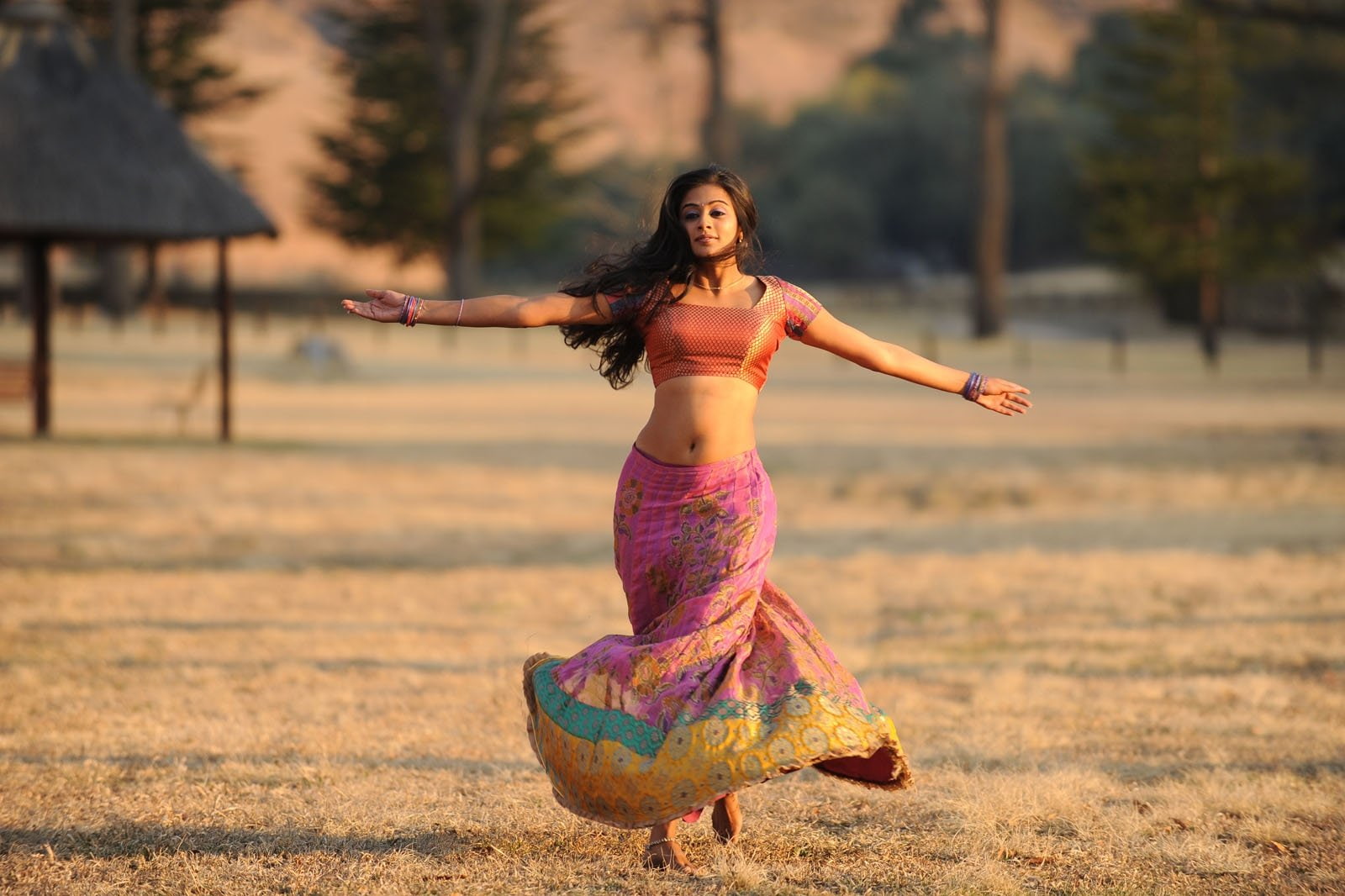 priyamani, 720P, HD Wallpaper
