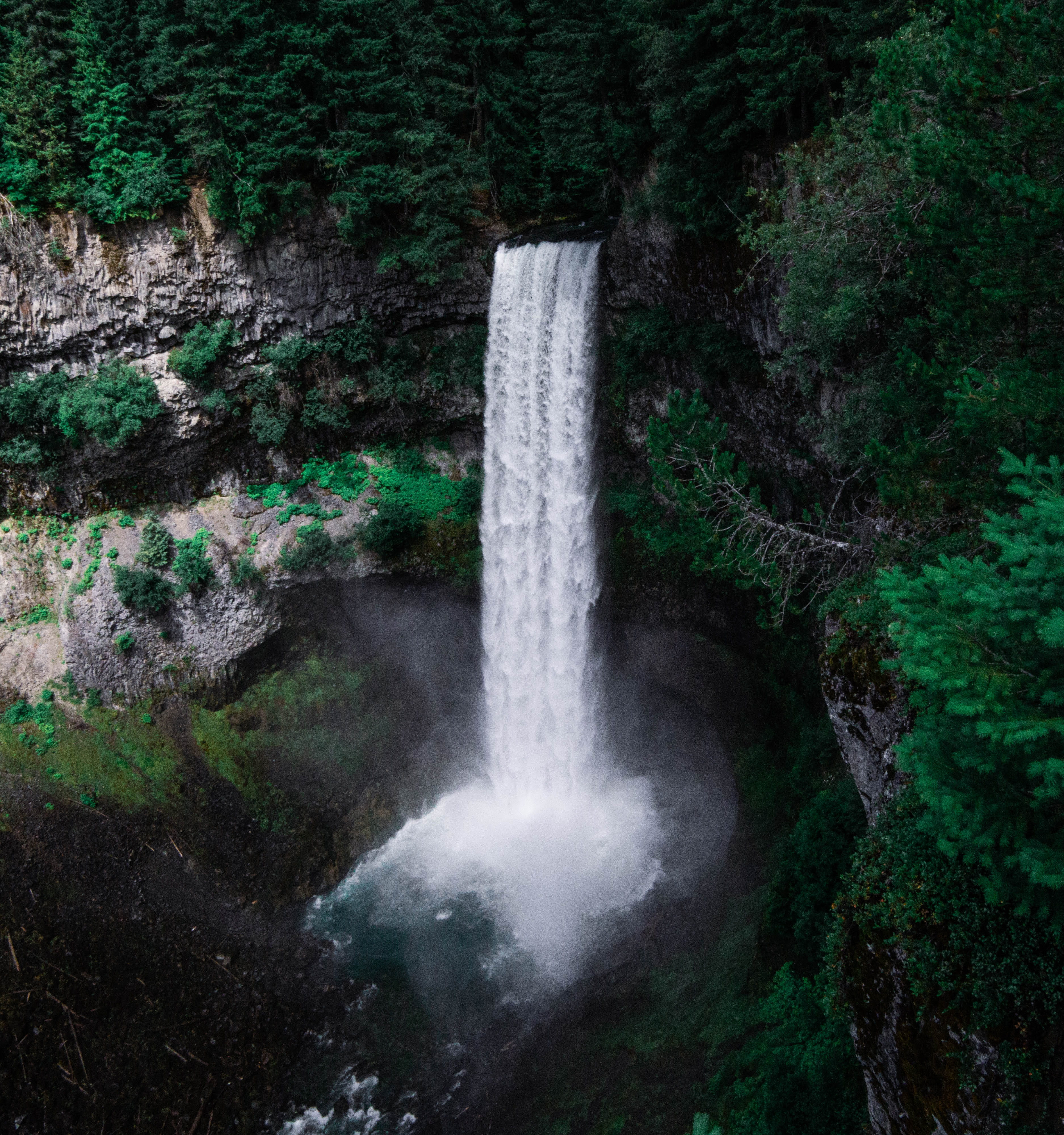 falling, tropical Rainforest, outdoors, waterfalls, river, trees, cliff, wet, falls, surrounded, nature, moss, wilderness, forest, waterfall, woodland, Phone HD Wallpaper