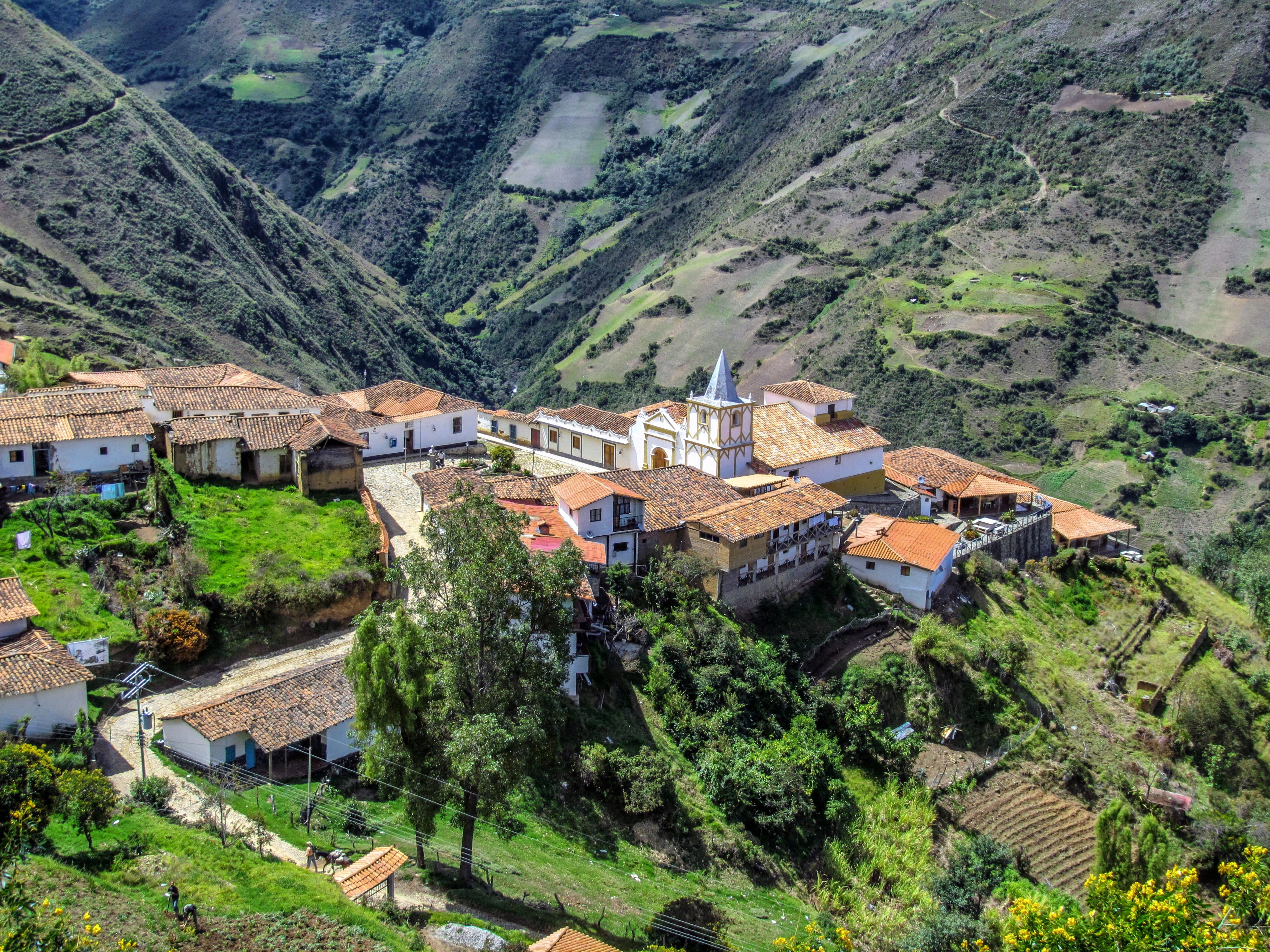 day, plant, outdoors, buildings, building exterior, tree, building, residential district, rural scene, Town, growth, high angle view, Village, merida, land, HD Wallpaper