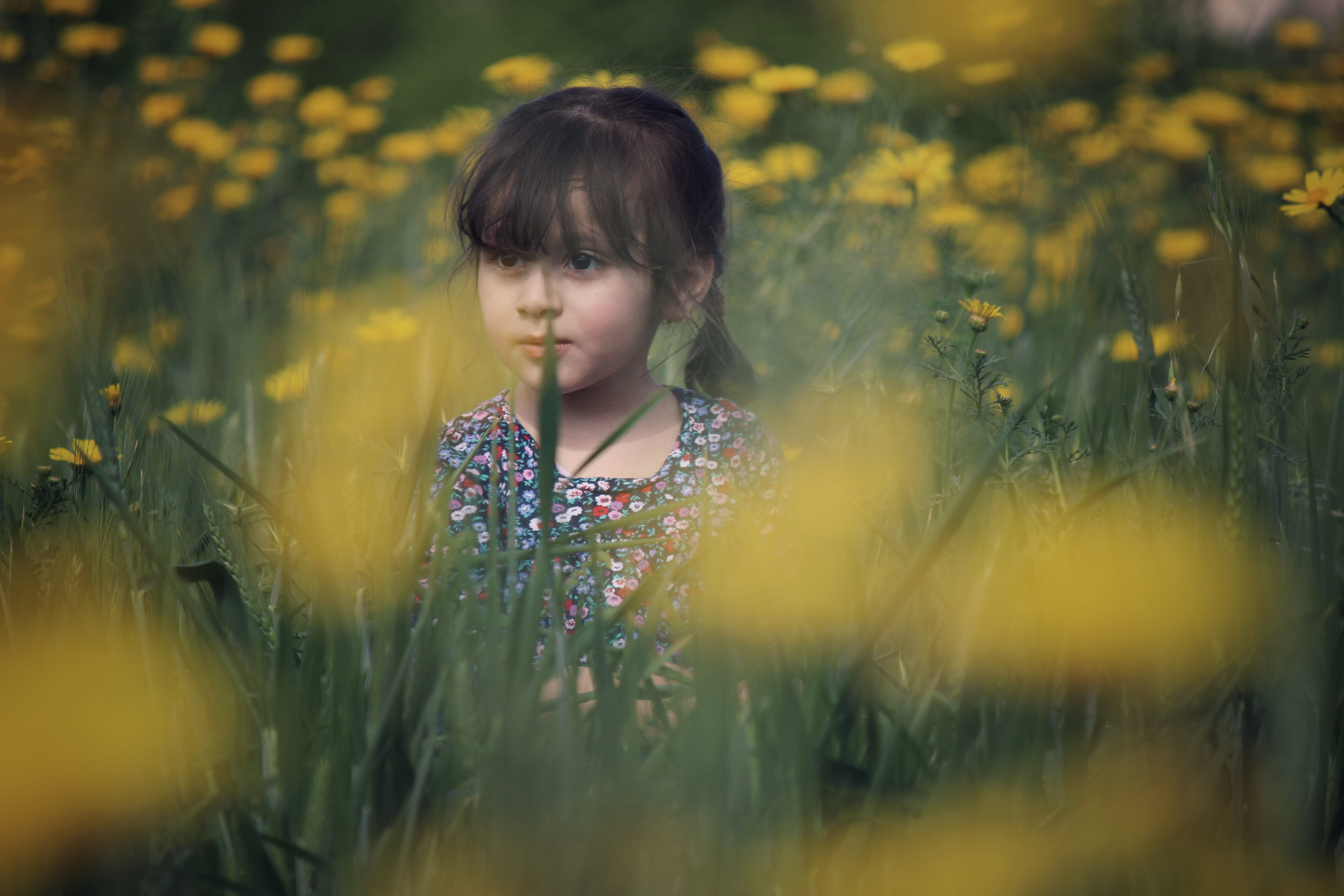 girls, flowering plant, petaled, standing, one person, red, flowers, wearing, selective focus, contemplation, floral, multicolored, field, land, plant, HD Wallpaper
