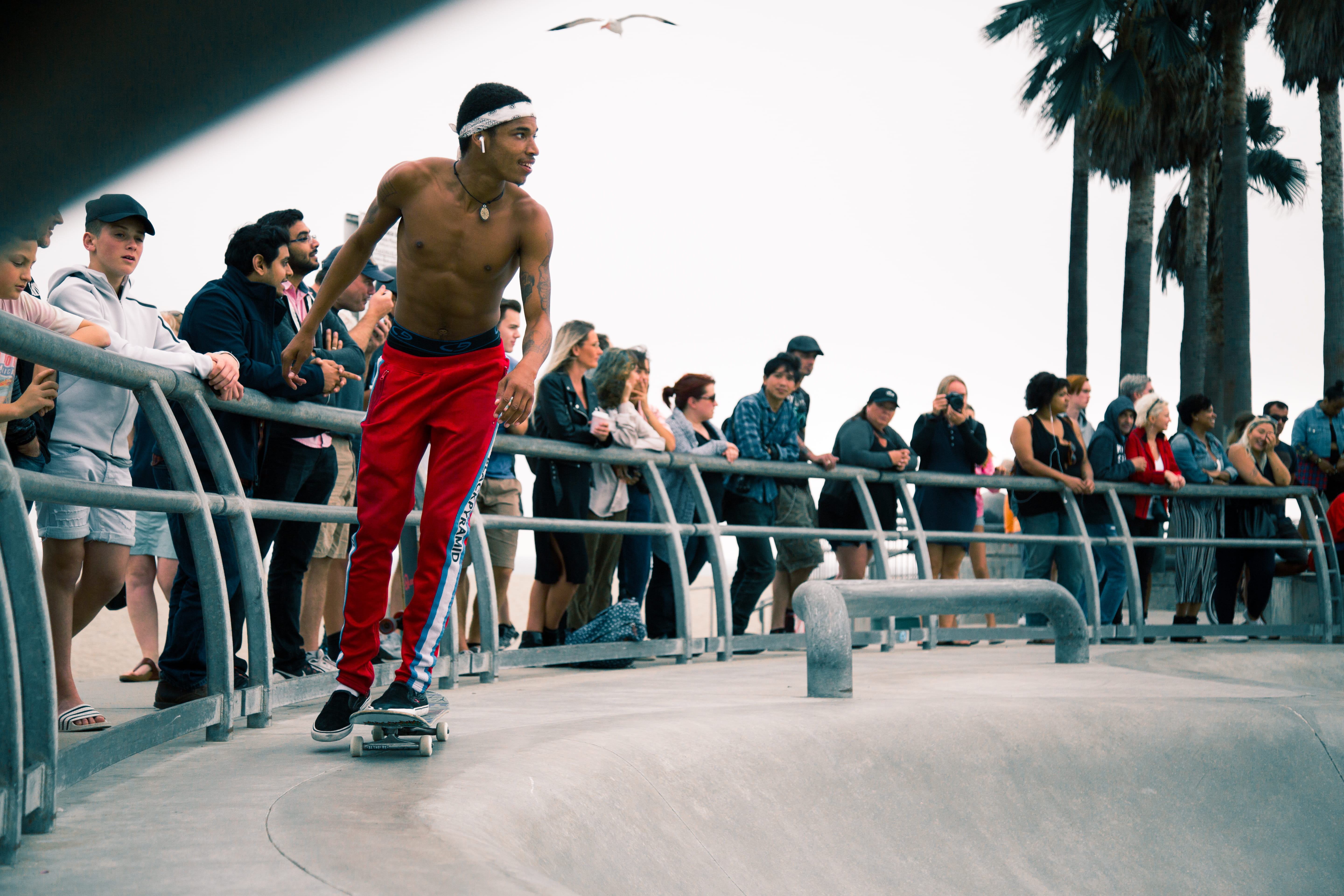 infront, skate, los angeles, man, cap, women, apparel, animal, united states, crowd, shoe, ice skating, people, full length, real people, excitement, park, HD Wallpaper