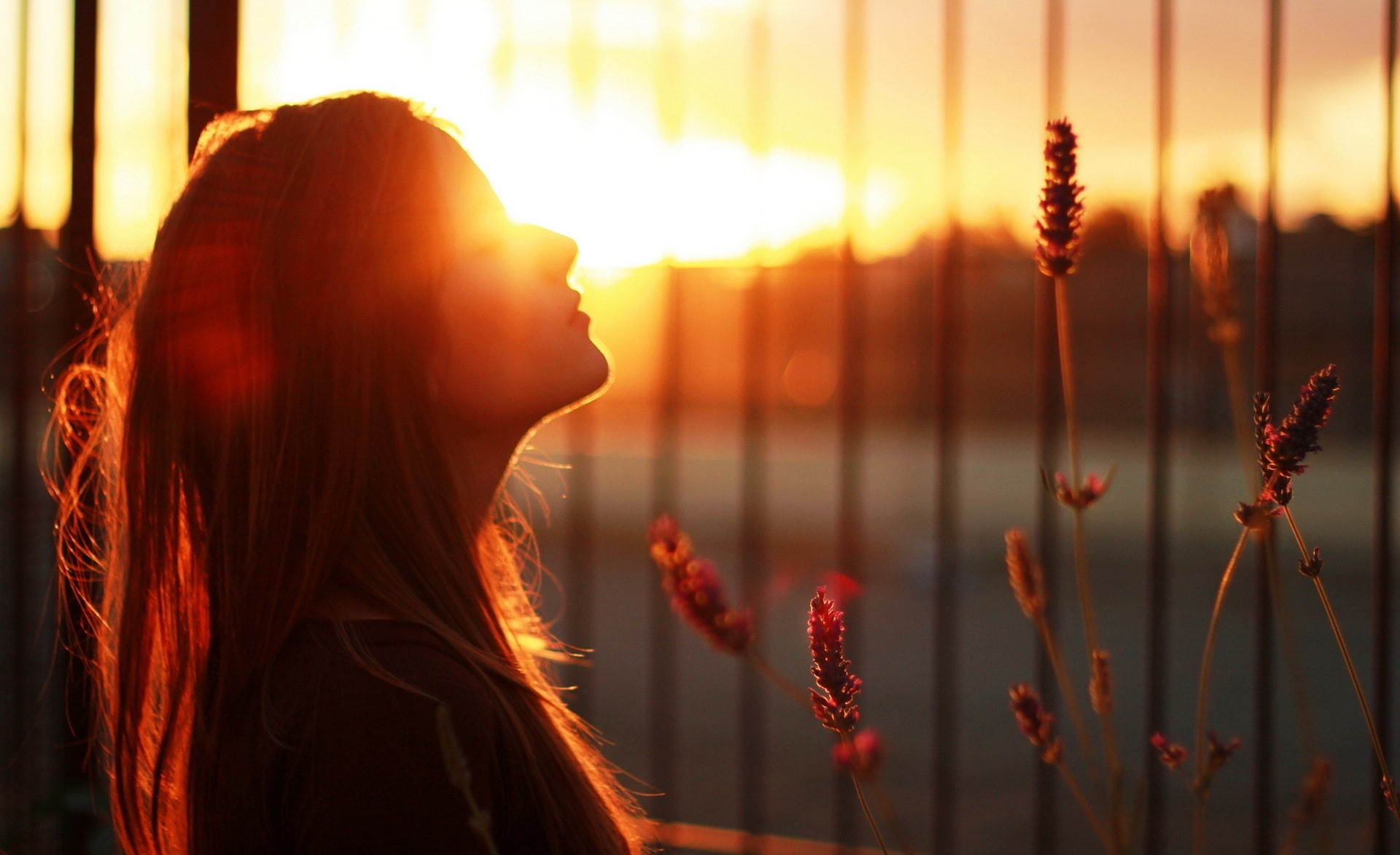 1080P, fence, one person, sunset, outdoors, contemplation, long hair, girl, sky, infront, beauty in nature, side view, mood, hairstyle, portrait, young adult, HD Wallpaper