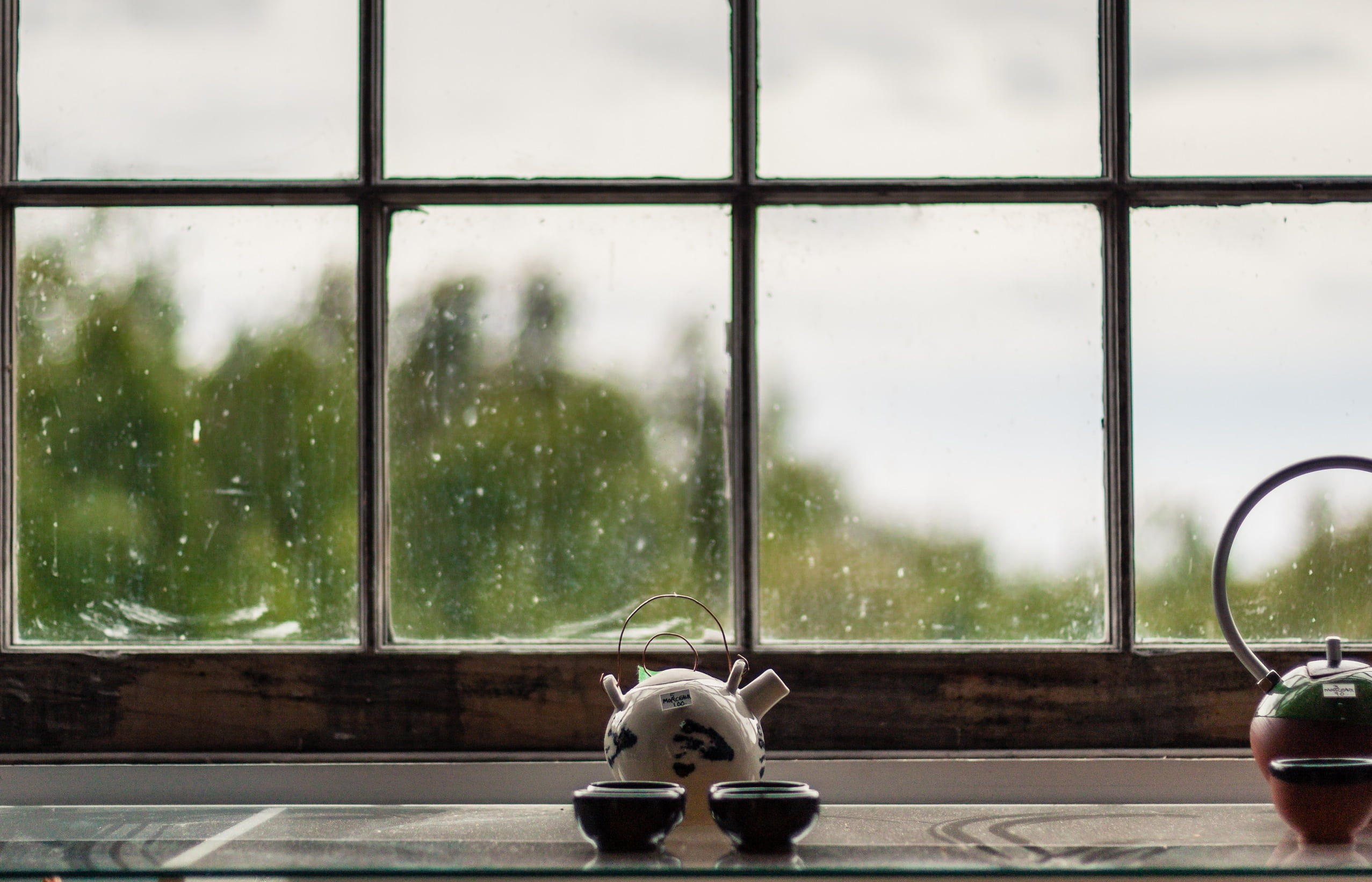 pets, raindrop, rain, rainy season, day, animal, animal themes, mammal, ceramic, counter, nature, teapot, waiting, one animal, two, transparent, toy, wet, HD Wallpaper