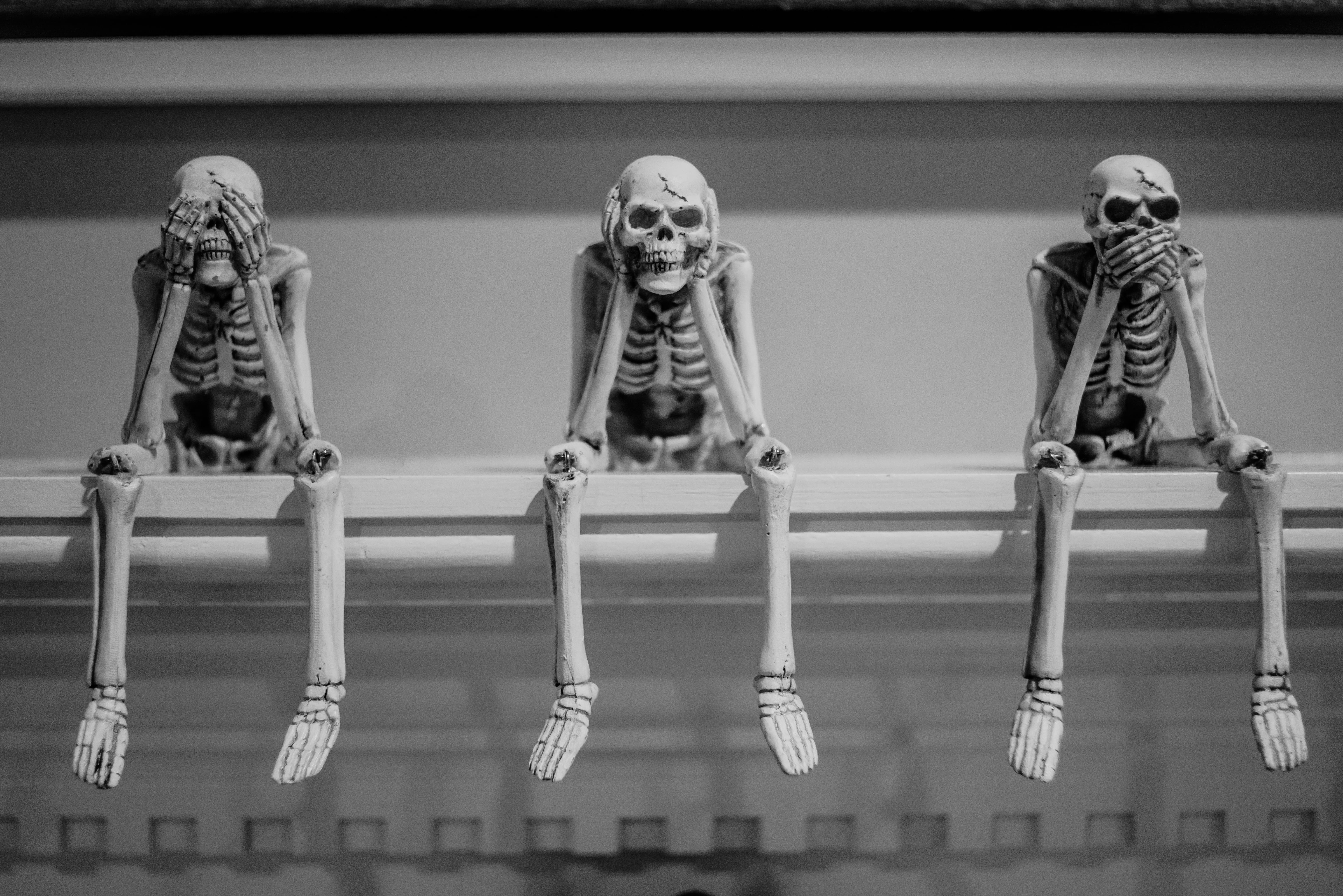 united states, art and craft, figurines, indoors, people, sculpture, human skeleton, history, arts culture and entertainment, no people, portrait, 5K, HD Wallpaper