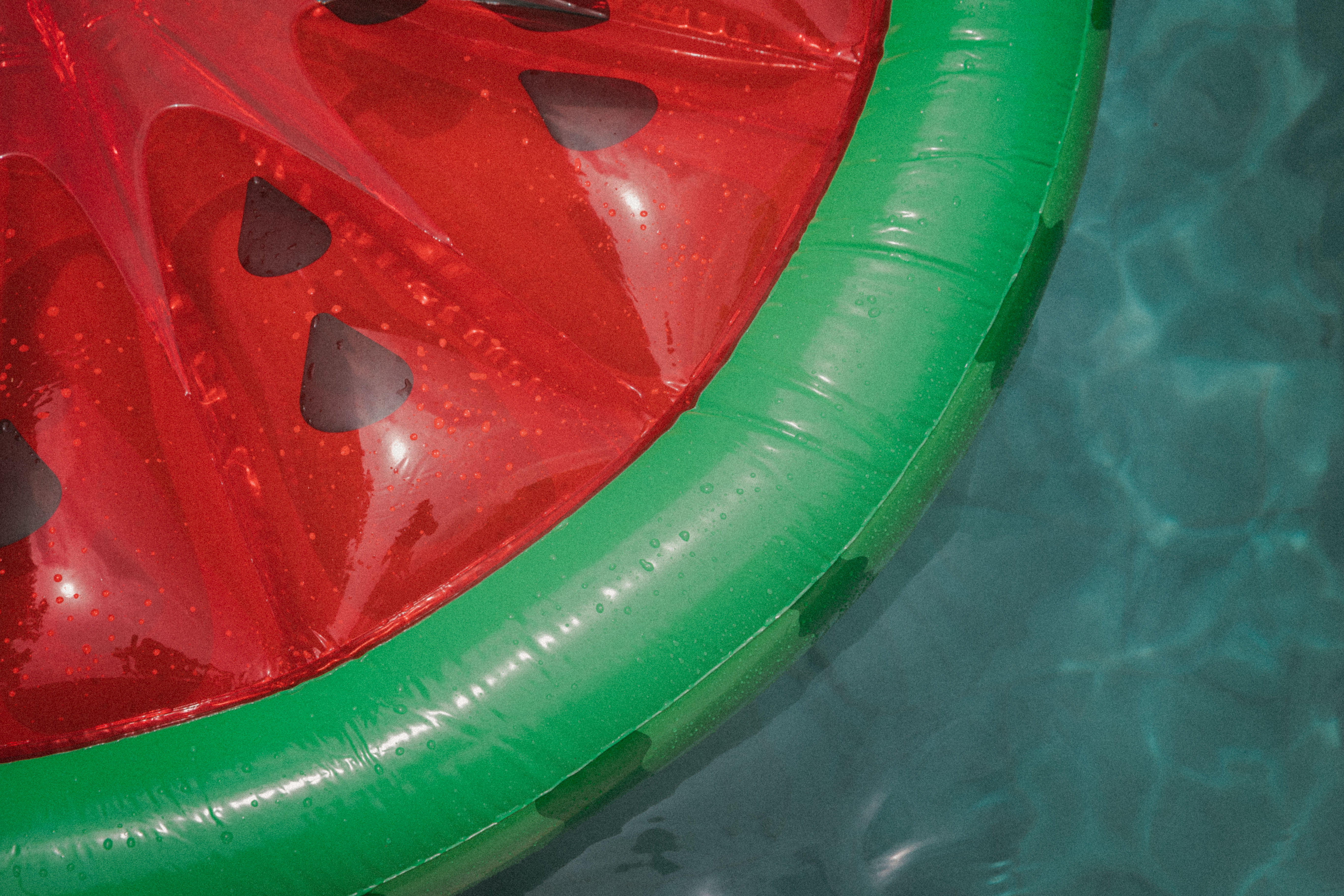 nature, shiny, full frame, sunlight, 5K, day, green color, high angle view, green, floater, fruit, backgrounds, outdoors, red, plastic, water, watermelon, HD Wallpaper