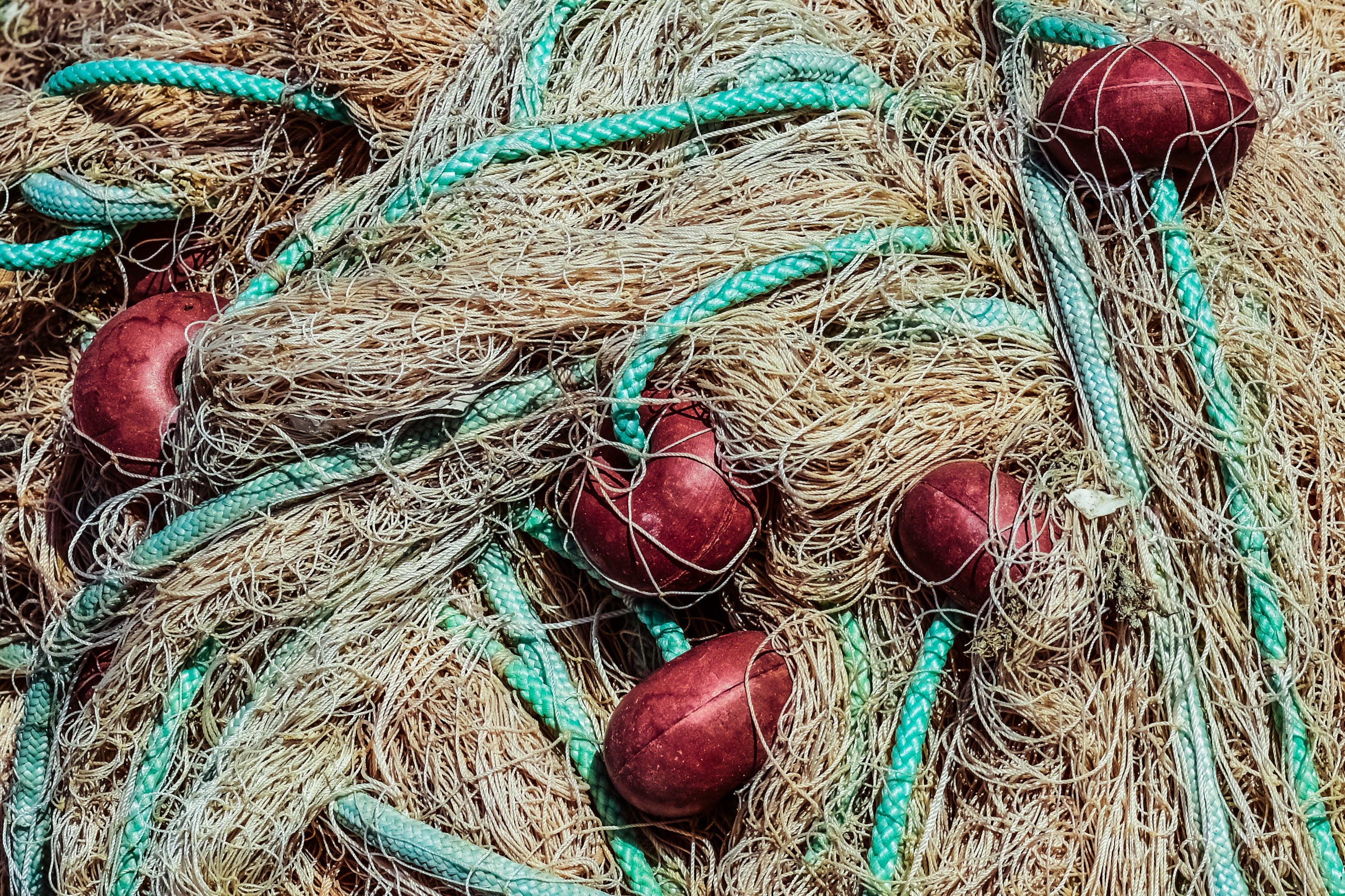 fishing net, 2K, harbor, outdoors, fishing rod, rod, traditional, protaras, no people, tangled, rope, fishing, still life, cyprus, high angle view, commercial fishing net, HD Wallpaper