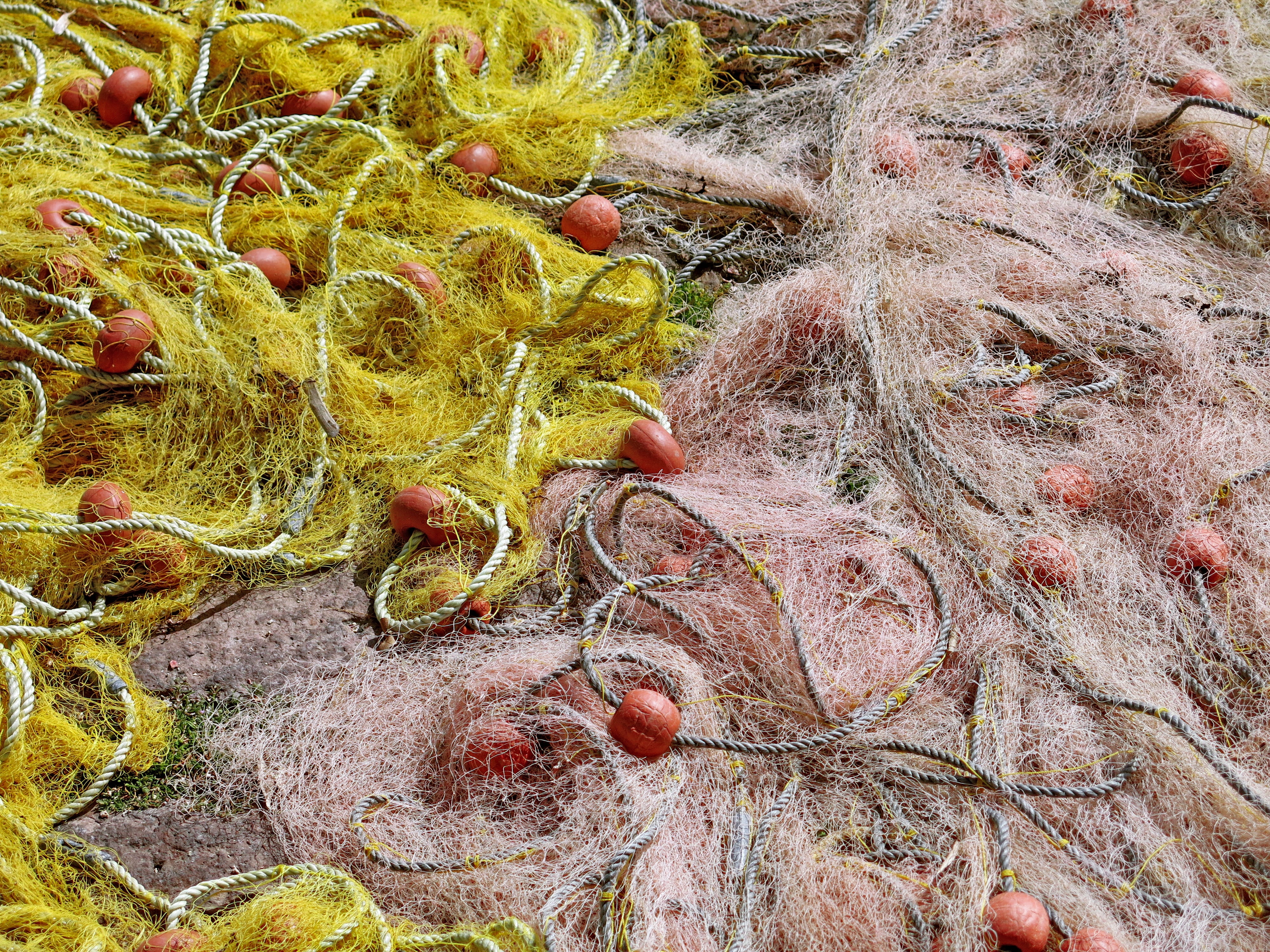 dry, full frame, buoy, Nets, mesh, leaf, outdoors, Fishnet, forest, nets, equipment, nature, tree, fishing-net, Fishing, day, harbor, Tangled, backgrounds, HD Wallpaper