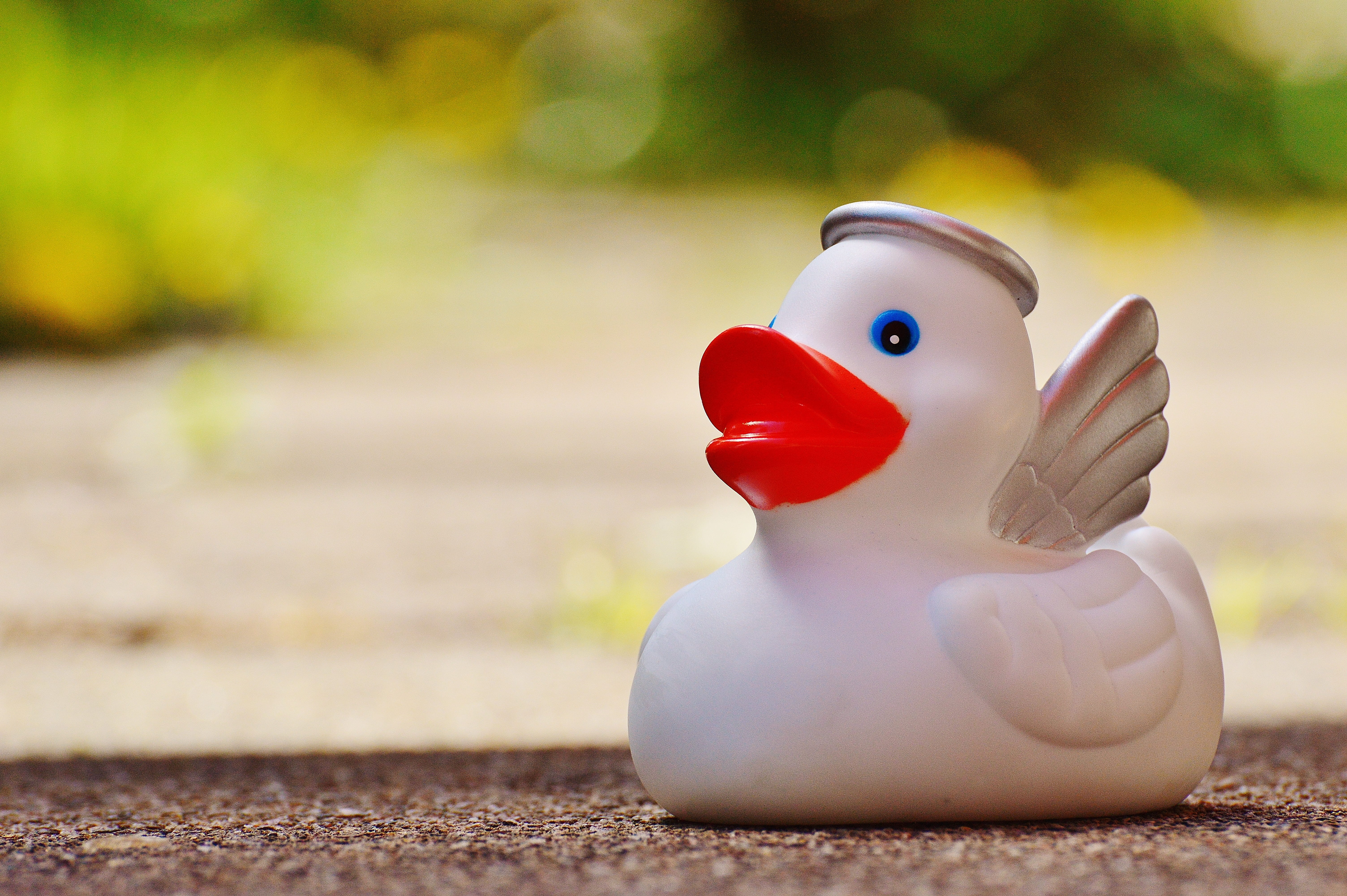day, figurine, 5K, sweet, poultry, nature, funny summer, angel, funny, fun bathing, selective, photo, halo, rubber duck, human representation, toy, no people, HD Wallpaper
