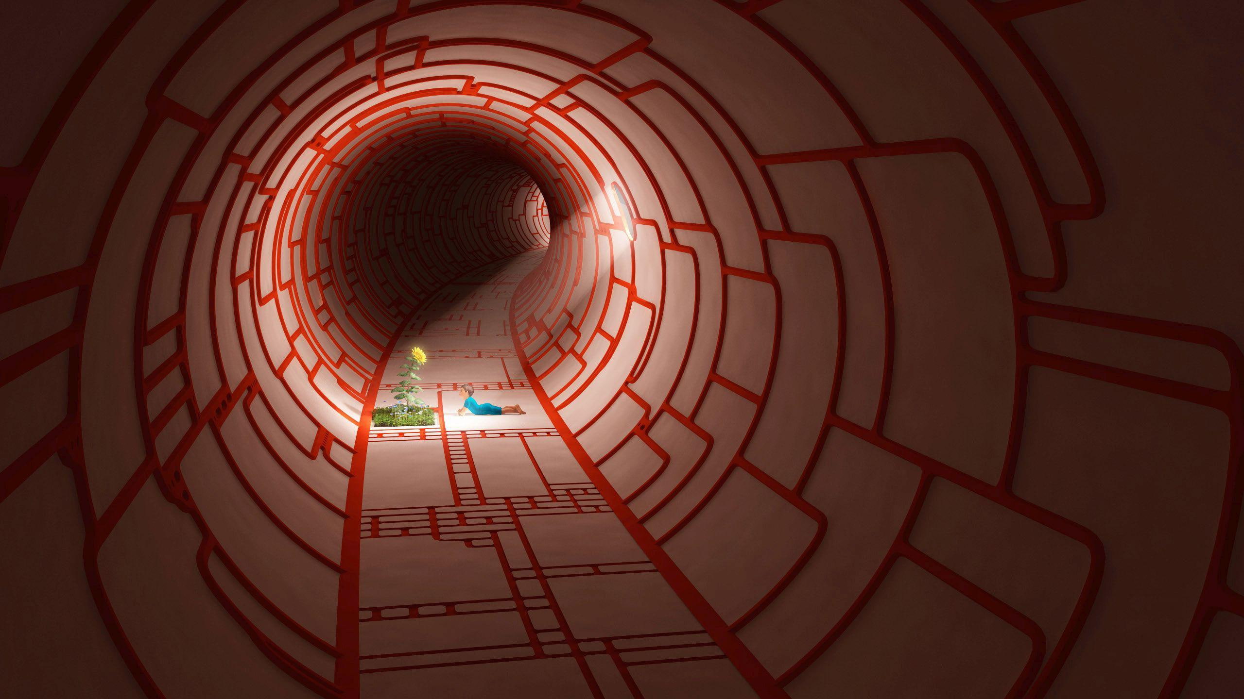 digital art, tunel, white, sunflower, tunnel, 2560x1440, red, 2K, HD Wallpaper
