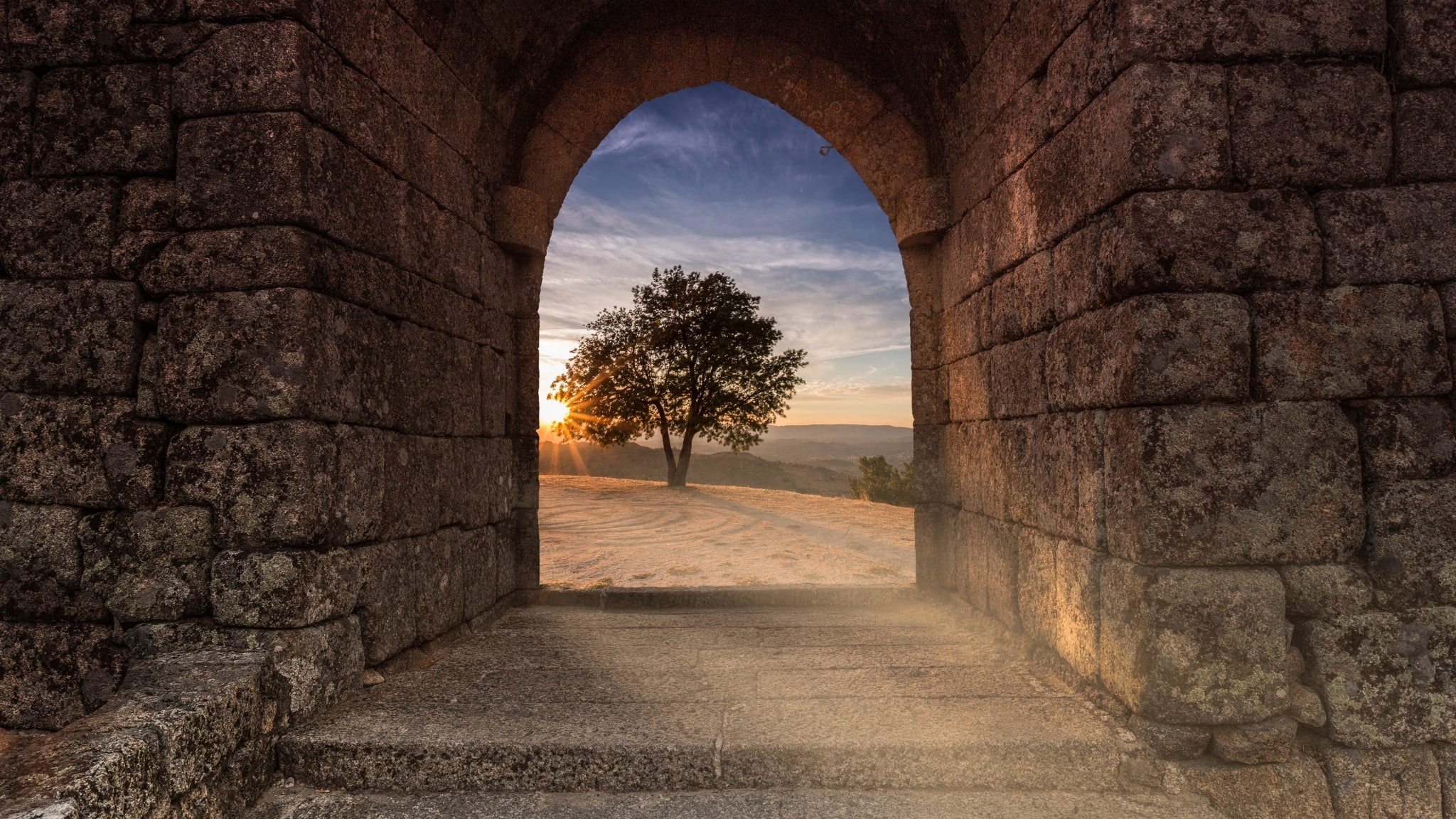 1080P, tree, view, wall, Tunel, HD Wallpaper