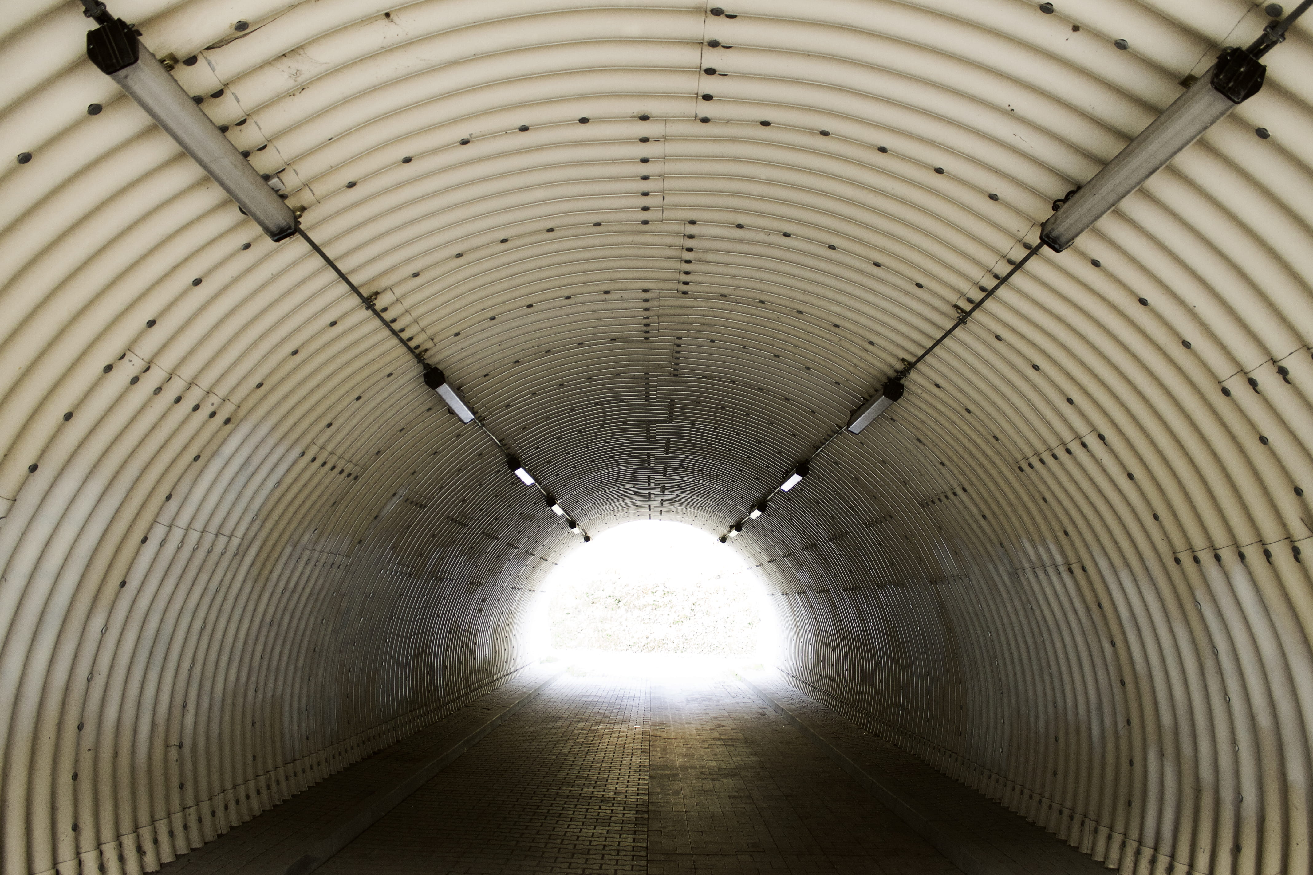 tunel, ceiling, empty, subway, arch, tunnel, the way forward, direction, :d, no people, built structure, long, przemyśl, fun, lighting equipment, footpath, HD Wallpaper