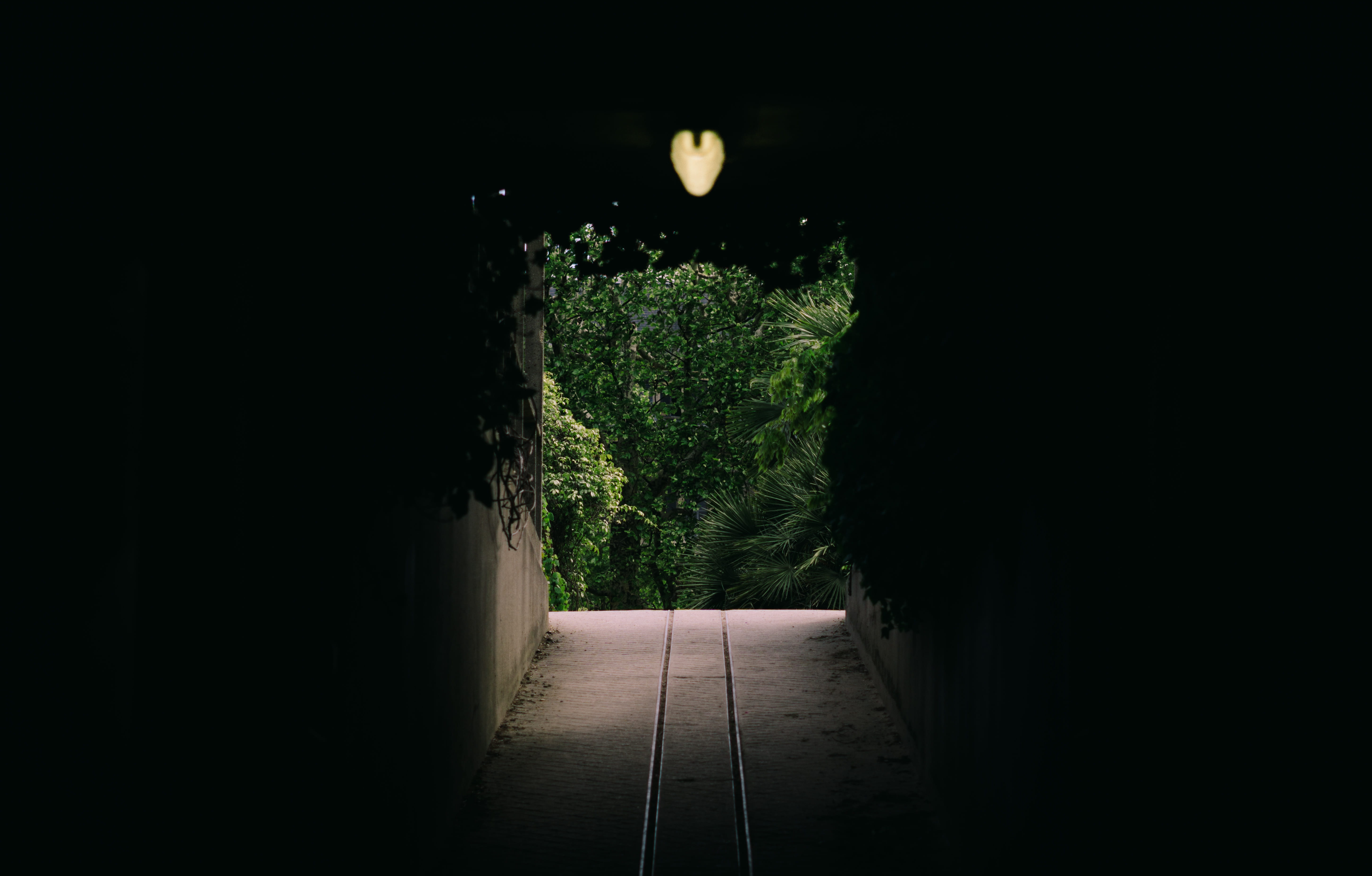architecture, no people, green color, tree, street, silhouette, wall, light, green, bunker, direction, nature, outdoors, walkway, the way forward, HD Wallpaper