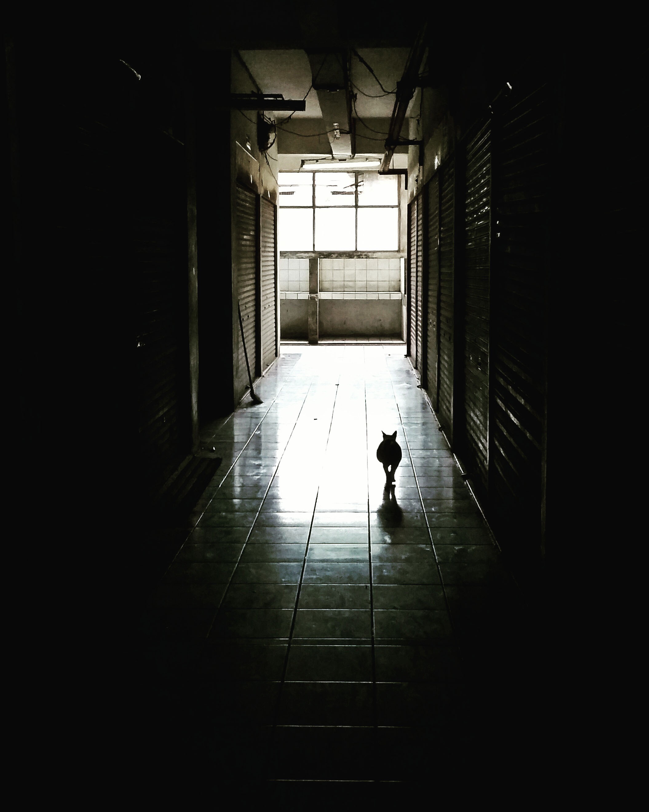 one person, the way forward, indoors, arcade, flooring, architecture, real people, tunel, direction, silhouette, light, way, lifestyles, men, staircase, Phone HD Wallpaper