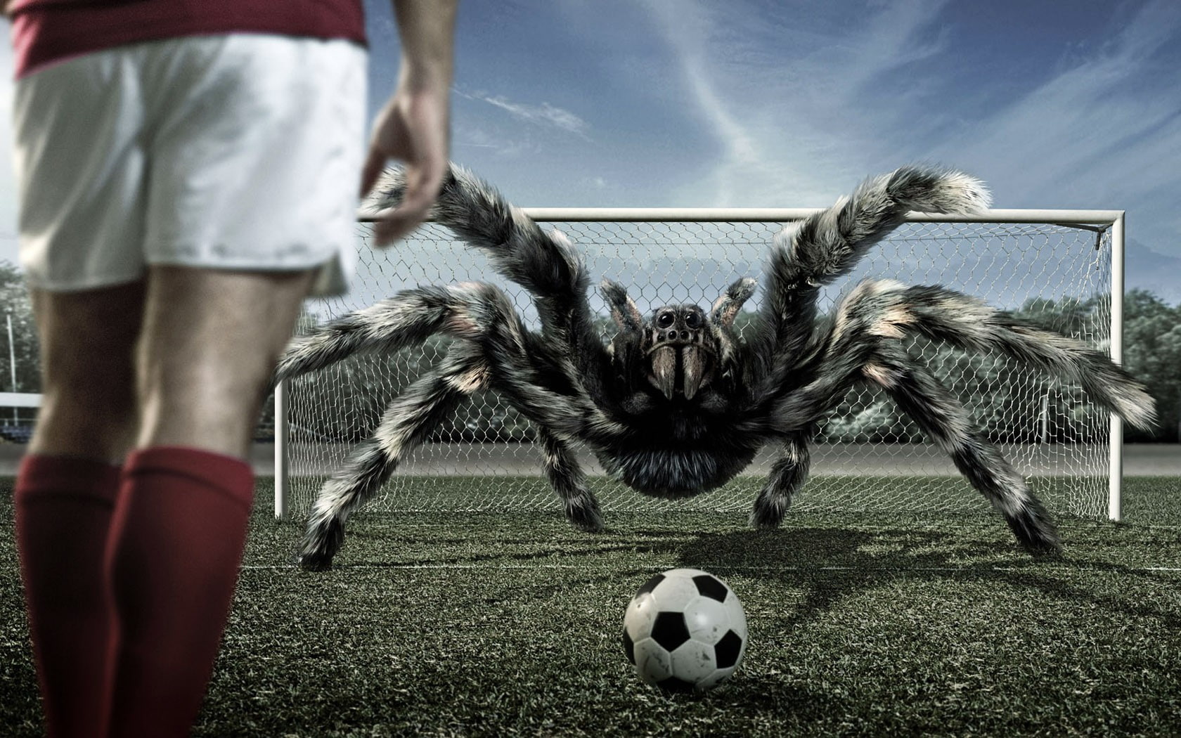 football, art, view, hd, spiders, x, 720P, soccer, d, 3D view, sports, HD Wallpaper